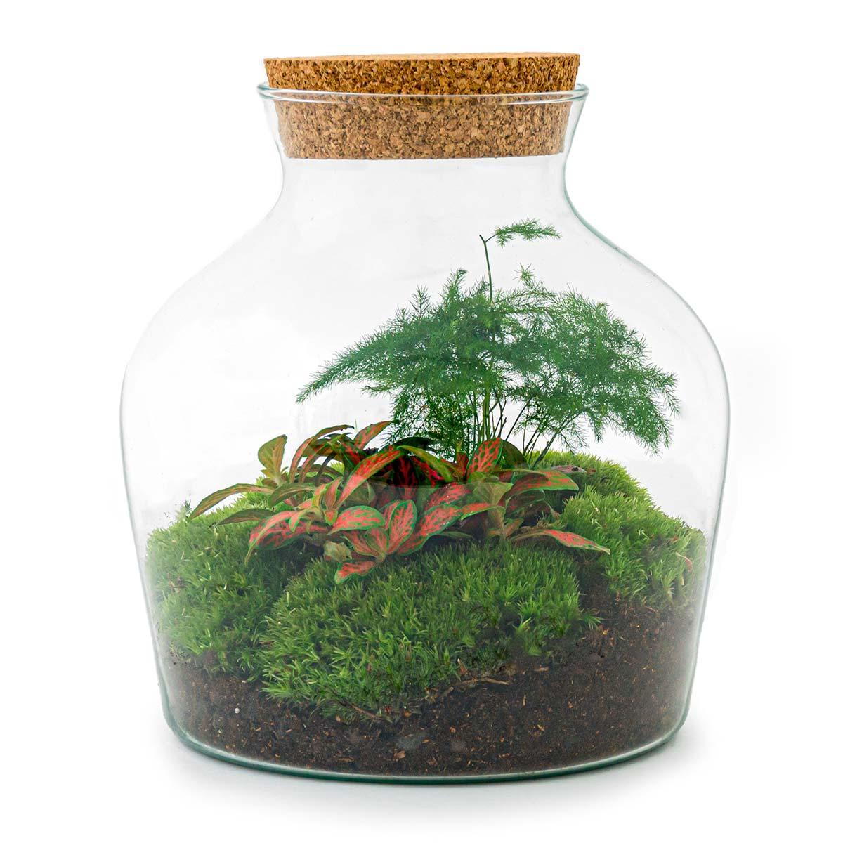 Flaschengarten - Little Joe - ↕ 21,5 cm - Harke + Schaufel +Pinzette + Schere
