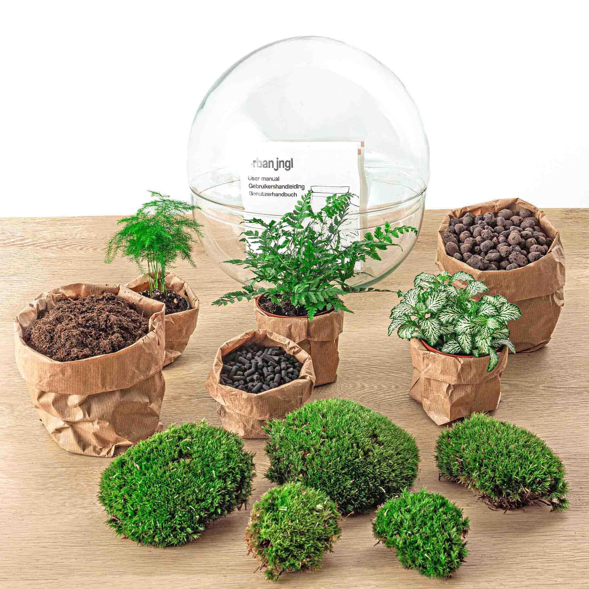 Flaschengarten - Dome XL - ↕ 30 cm - Harke + Schaufel +Pinzette