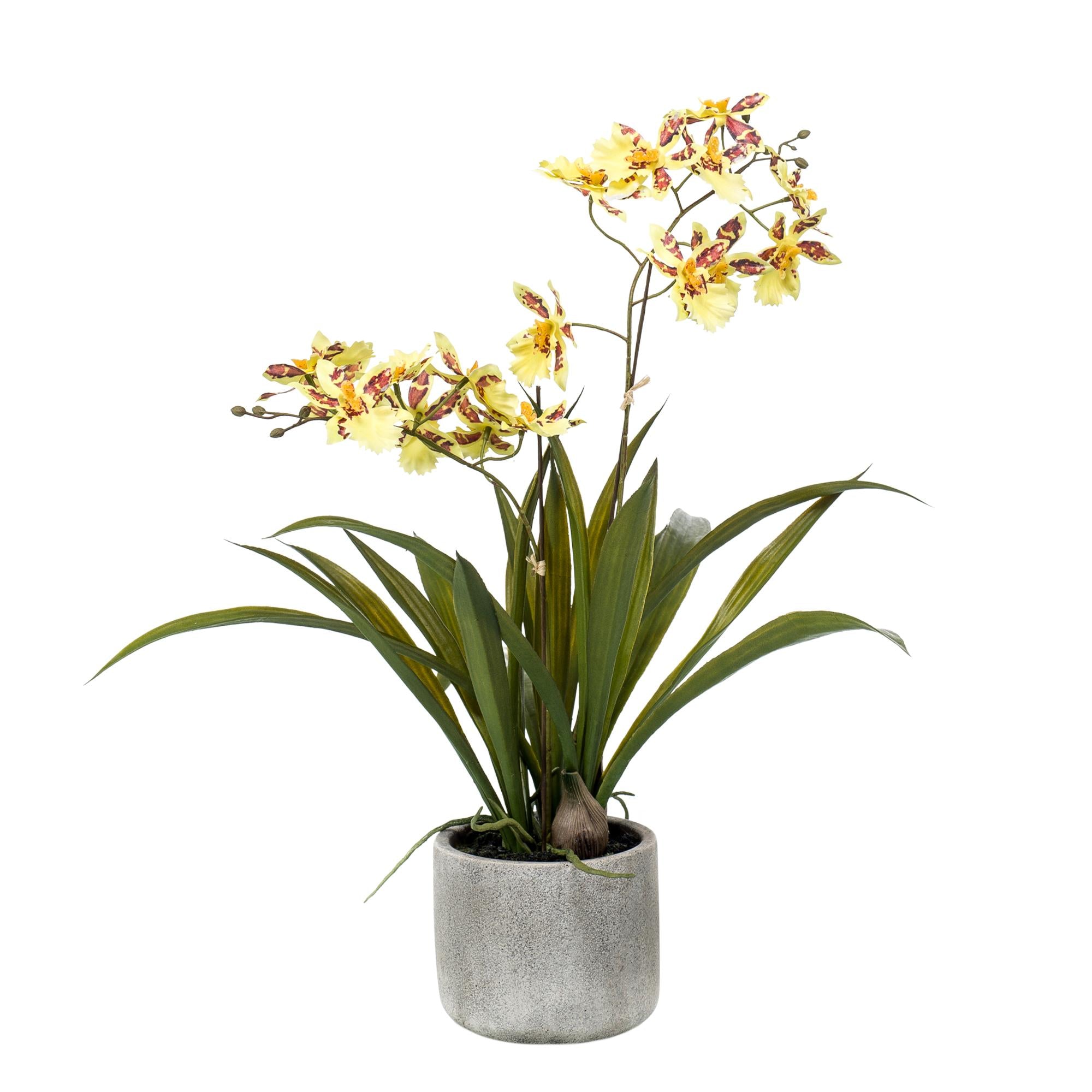 Kunstblumen - Orchidee - Gelbbraun - 45cm