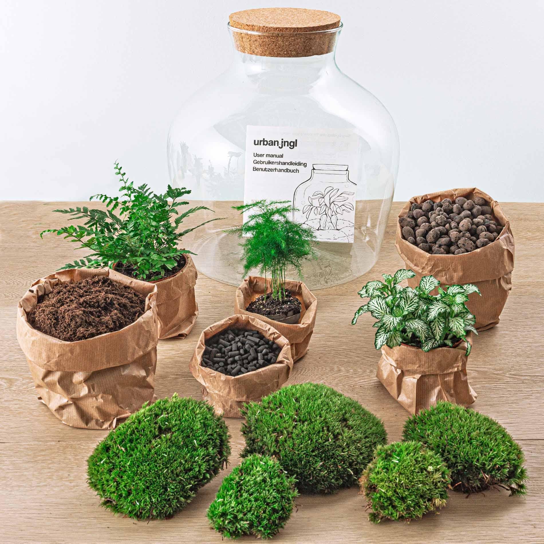Flaschengarten - Fat Joe grün - ↕ 30 cm