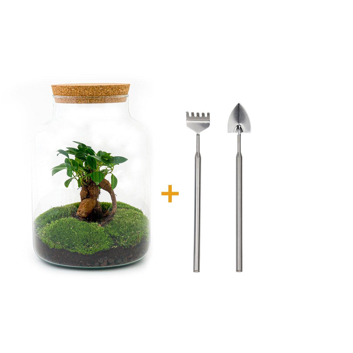 Flaschengarten - Milky mit Bonsai - ↕ 30 cm - Harke + Schaufel