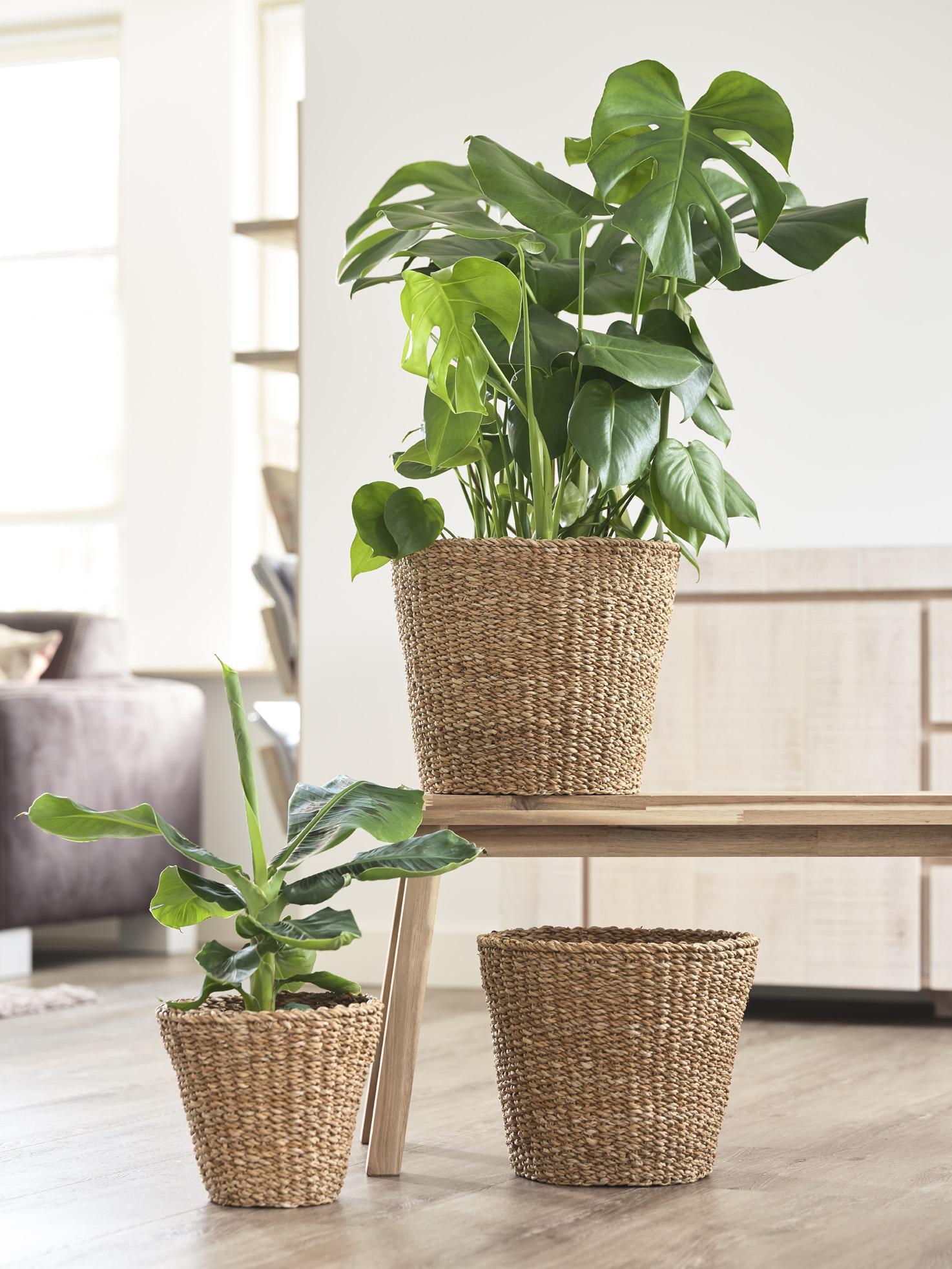 Korb Jip Natur - M - H23 W26