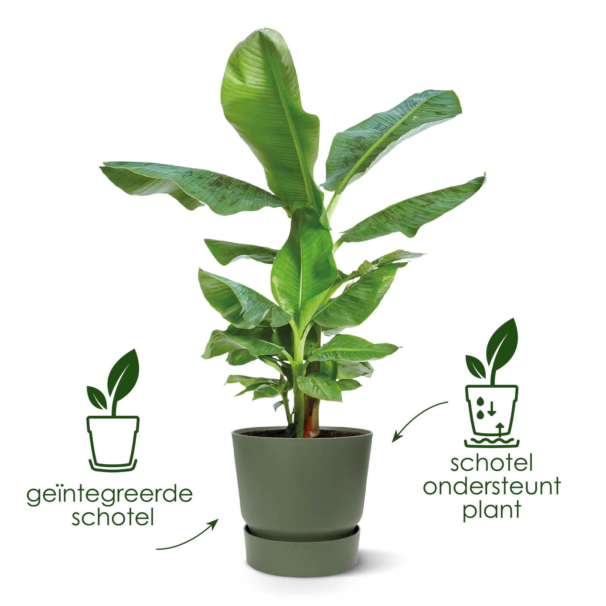 Blumen -und Pflanzentopf - Pot elho Greenville Round grau - D39 x H37