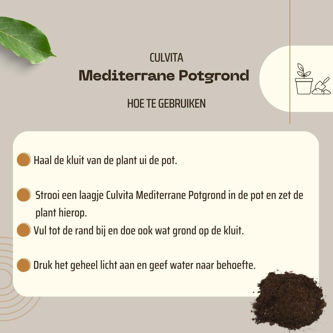 Blumenerde - Mediterrane Blumenerde 40 Liter inklusive RhizoPlus