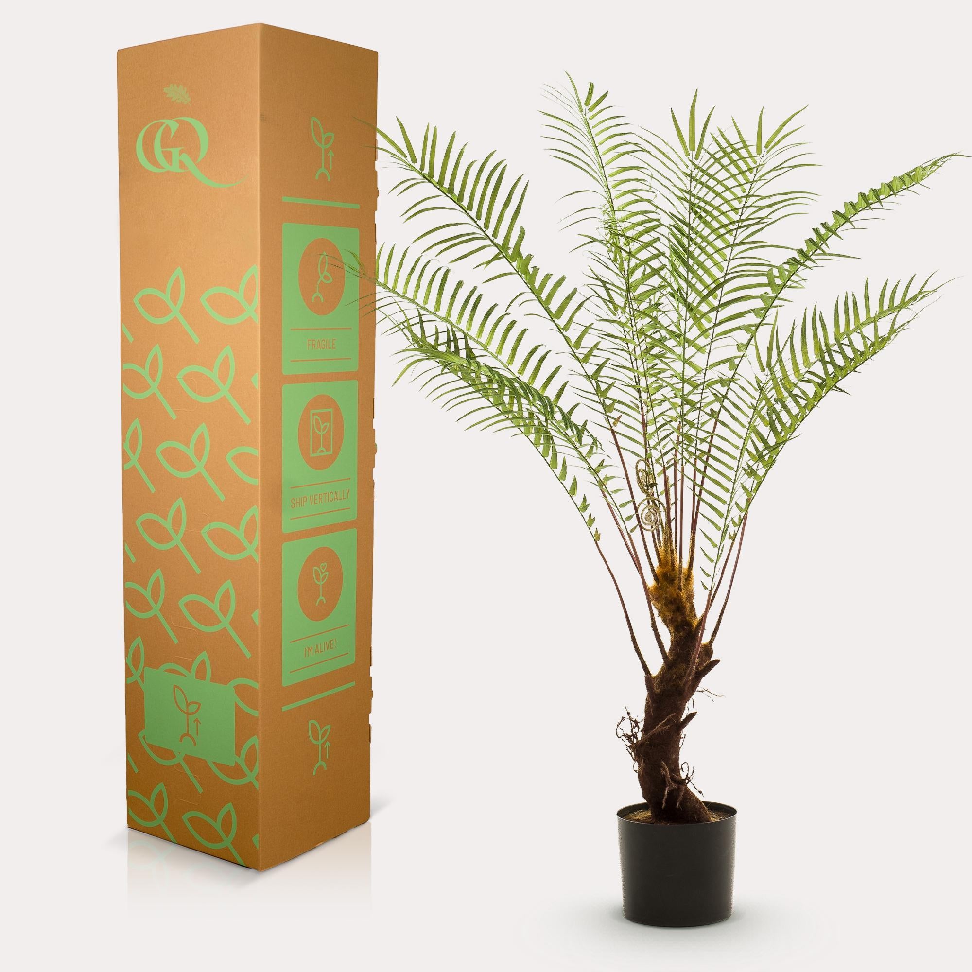 Kunstpflanze - Baumfarn - 125cm