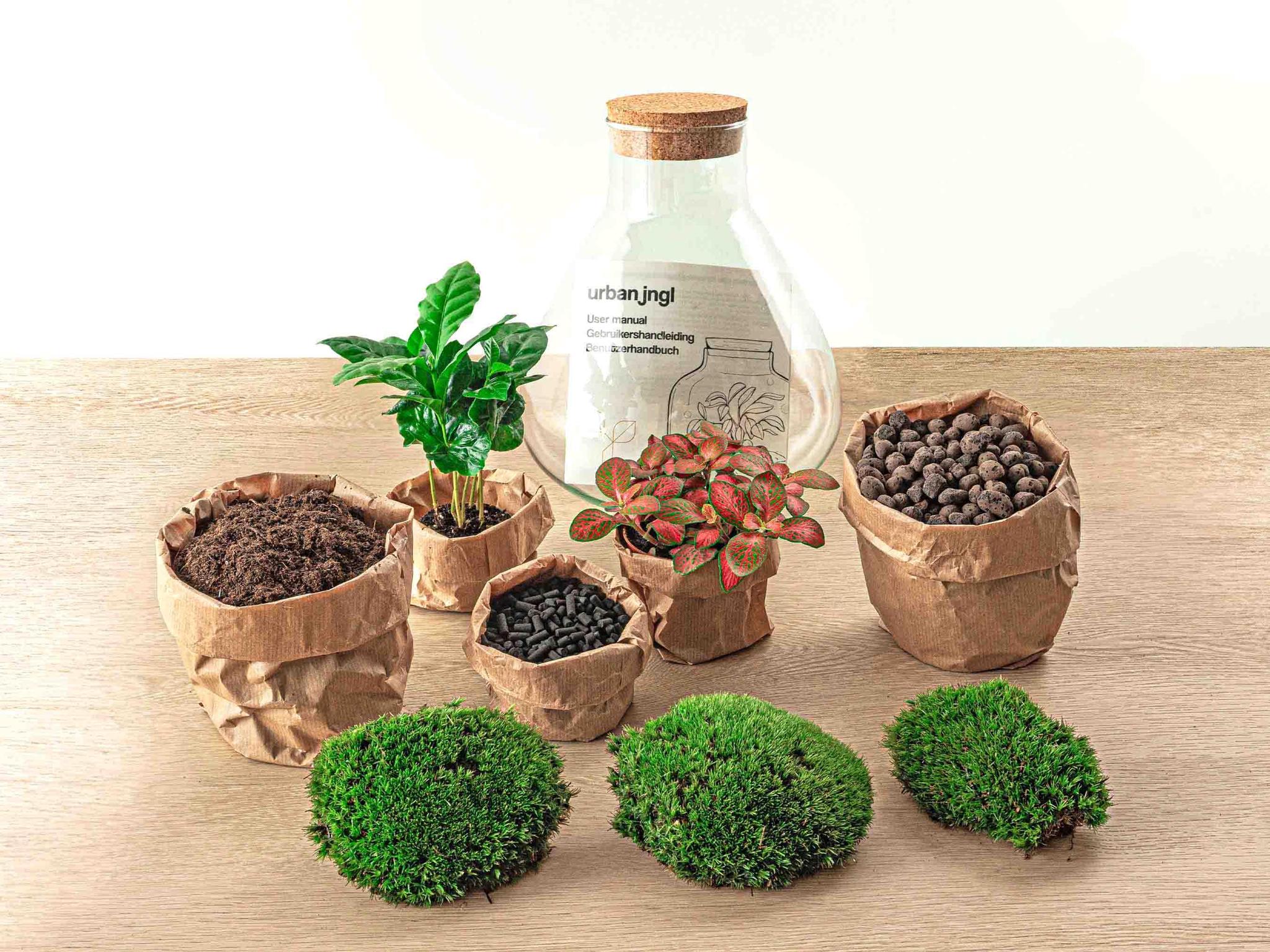 Flaschengarten - Sammie Coffea - ↕ 26 cm - Harke + Schaufel +Pinzette + Schere