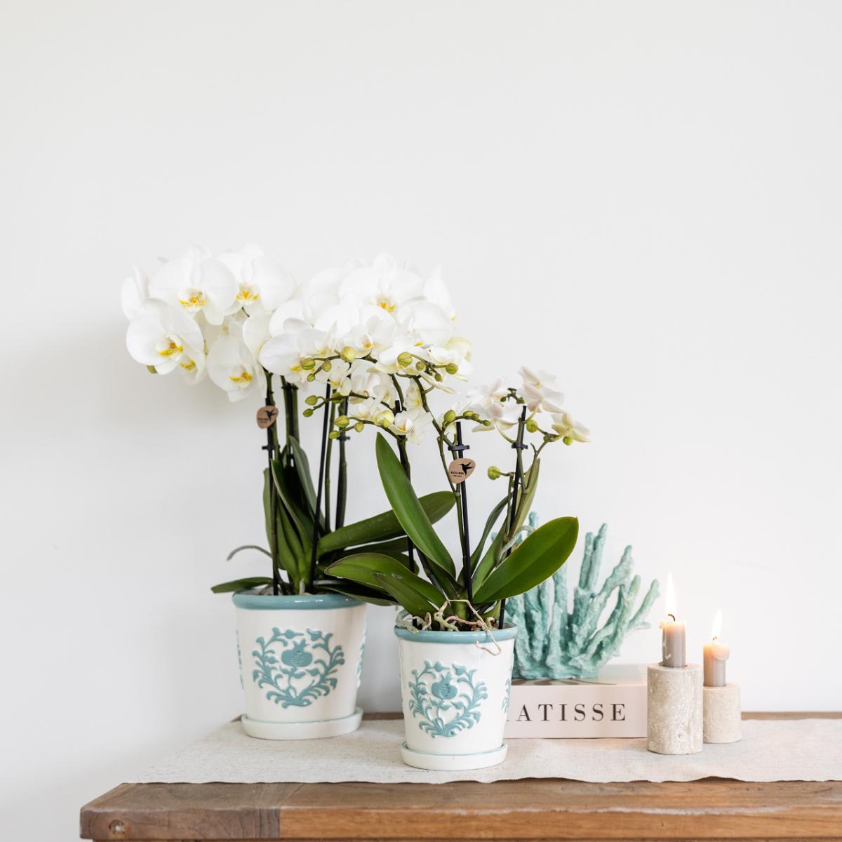 Blumen -und Pflanzentopf - Dekotopf Malaga türkis - Ø12cm