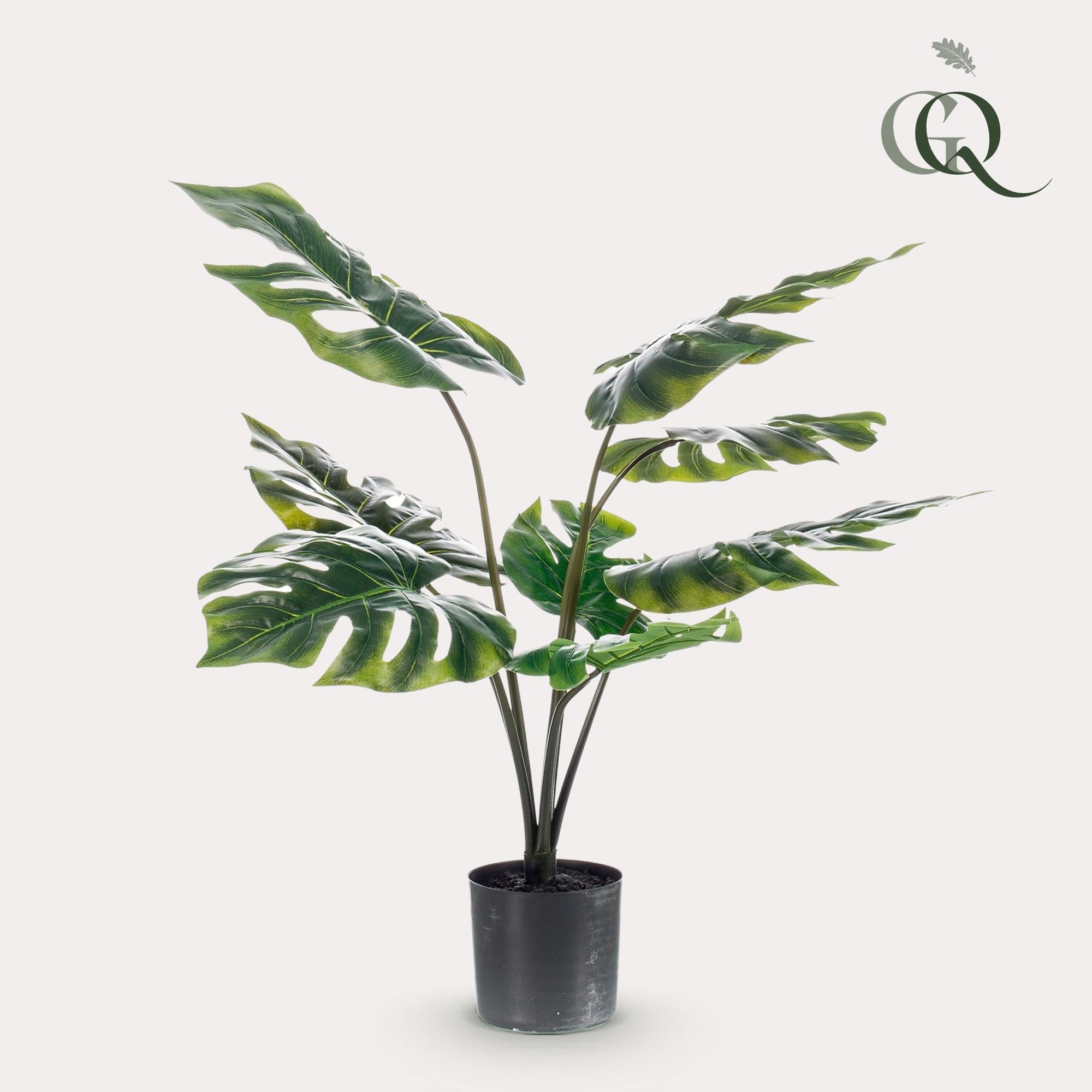 monstera gifts Ceramic Monstera leaves Housewarming gift main image 1