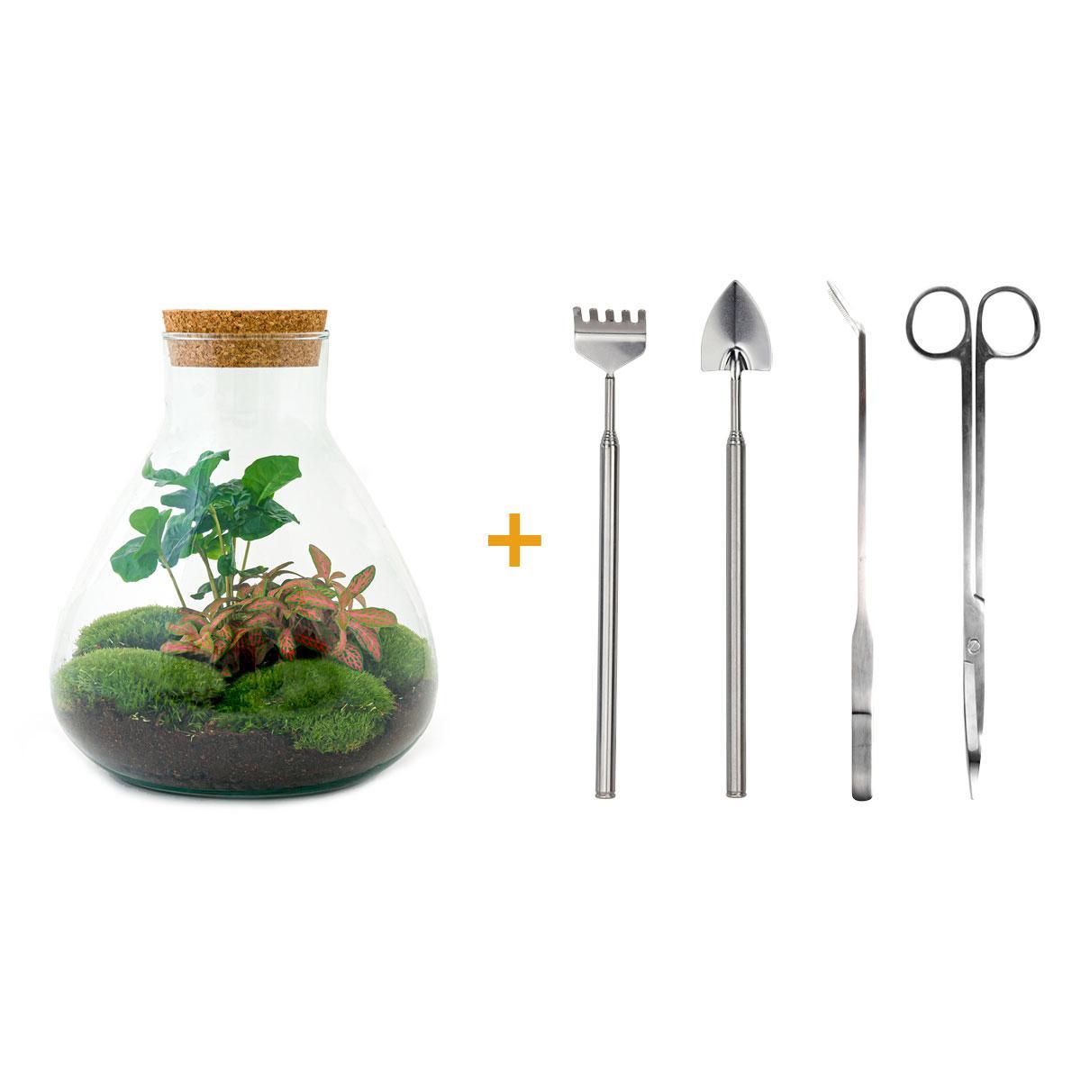 Flaschengarten - Sammie Coffea - ↕ 26 cm - Harke + Schaufel +Pinzette + Schere