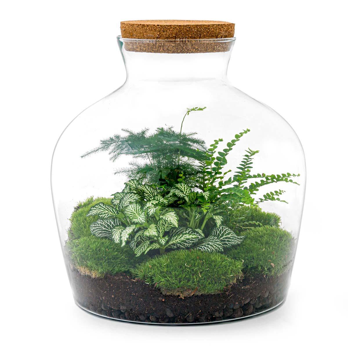 Flaschengarten - Fat Joe grün - ↕ 30 cm