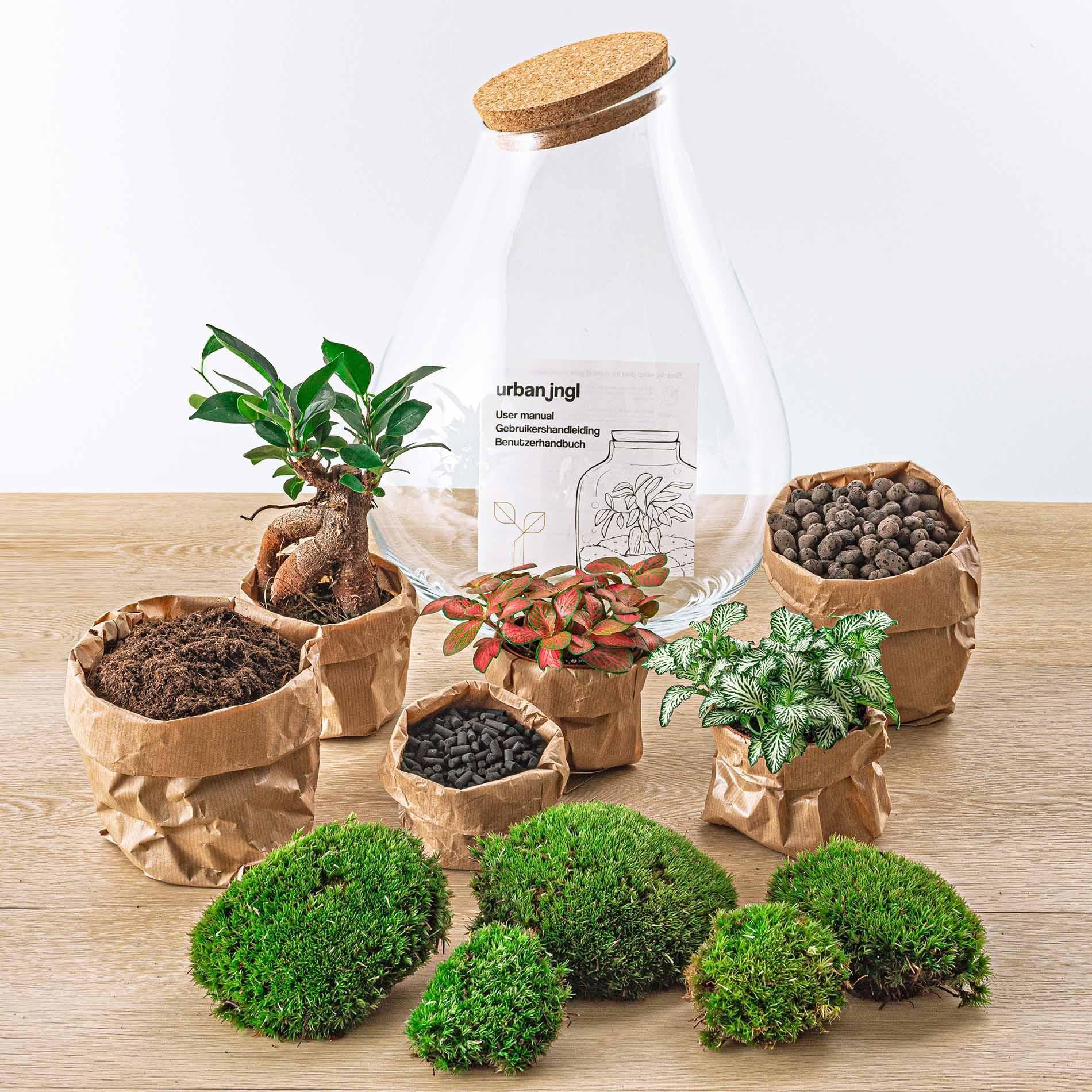 Flaschengarten - Drop XL - ↕ 37 cm - Harke + Schaufel +Pinzette + Schere