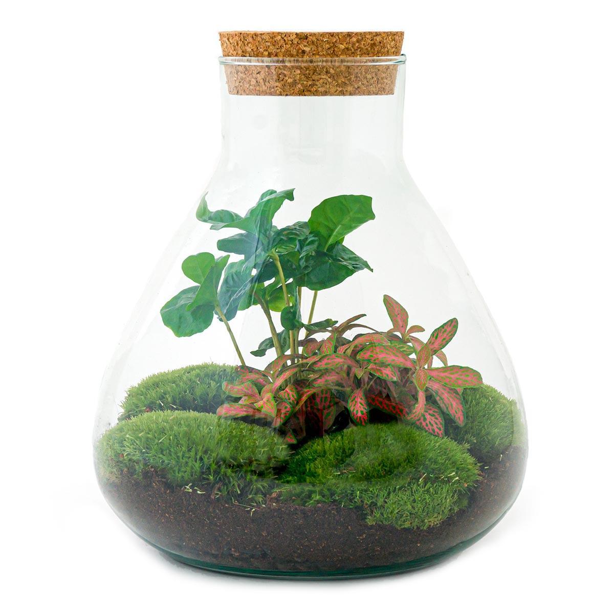 Flaschengarten - Sammie Coffea - ↕ 26 cm - Harke + Schaufel +Pinzette + Schere