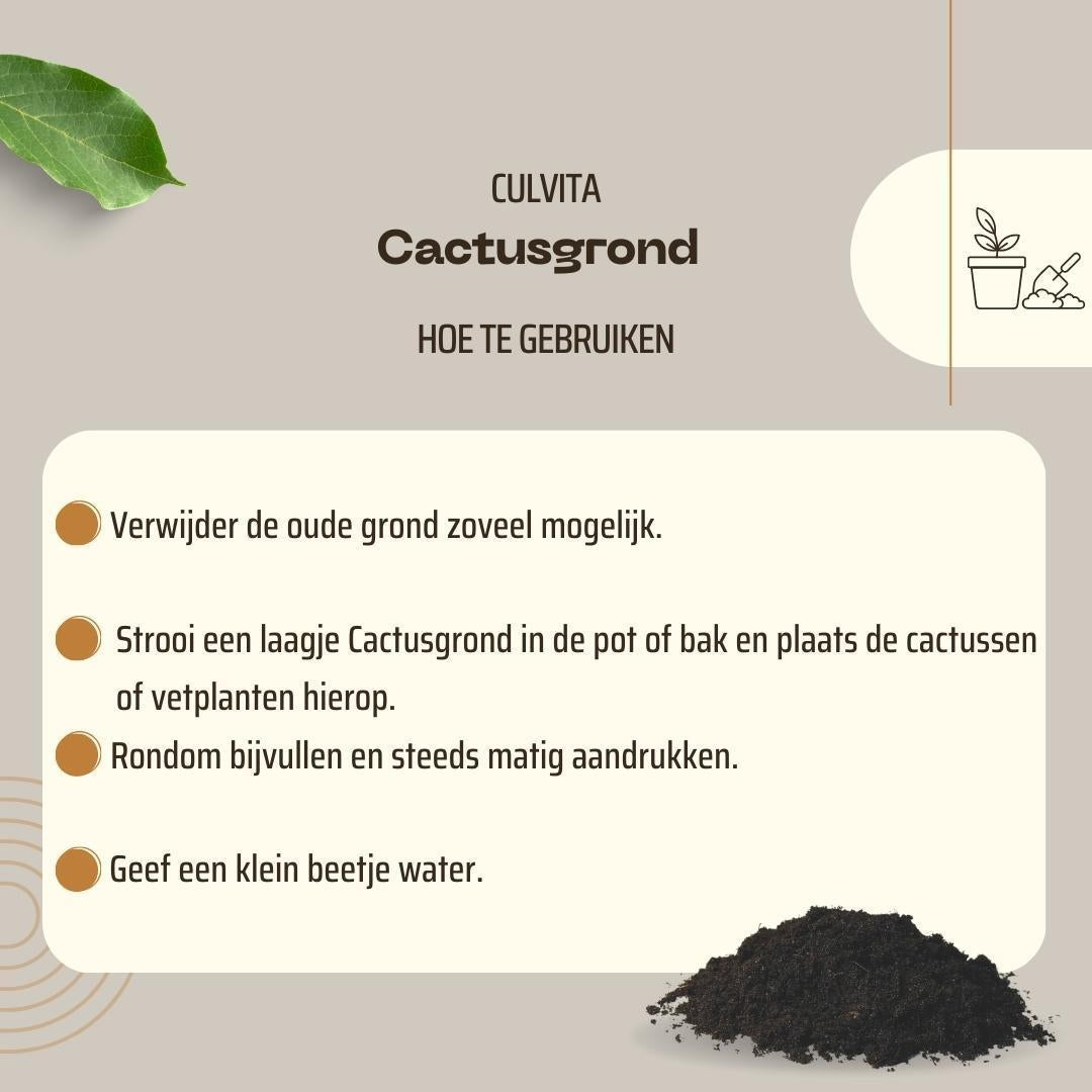Blumenerde - Kakteen und Sukkelenten 5 Liter