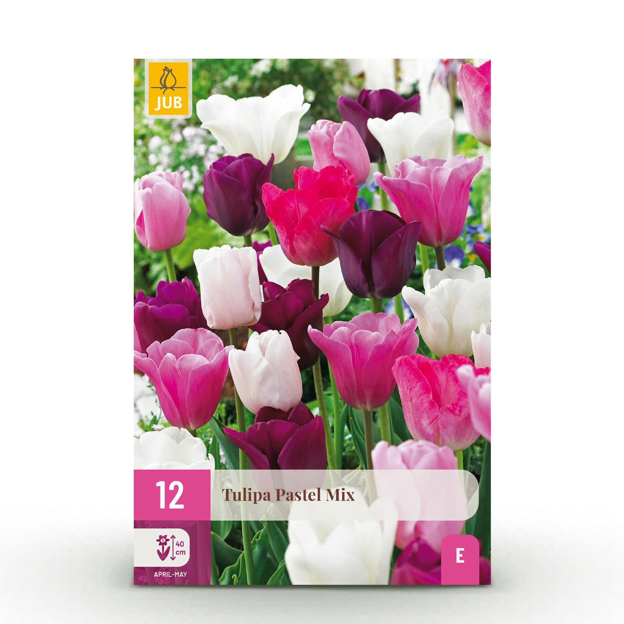 Tulpen Mix - Tulipa Pastel Mix - Verschiedene Farben - 12 Stück - Zwiebelgröße 11/12 - XXL Pack