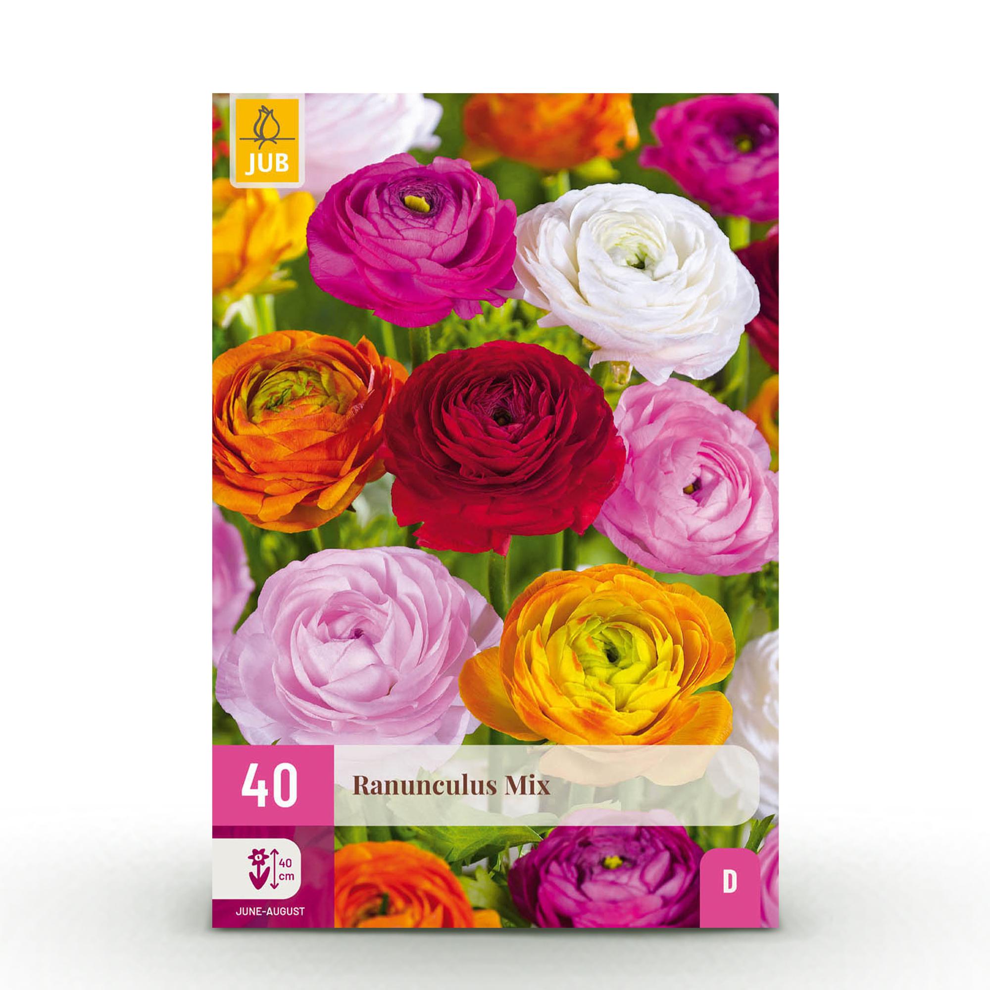 Ranunkelblumen Mix - Ranunculus Mix - Verschiedene Farben - 40 Stück - Zwiebelgröße 5/6 - XXL Pack