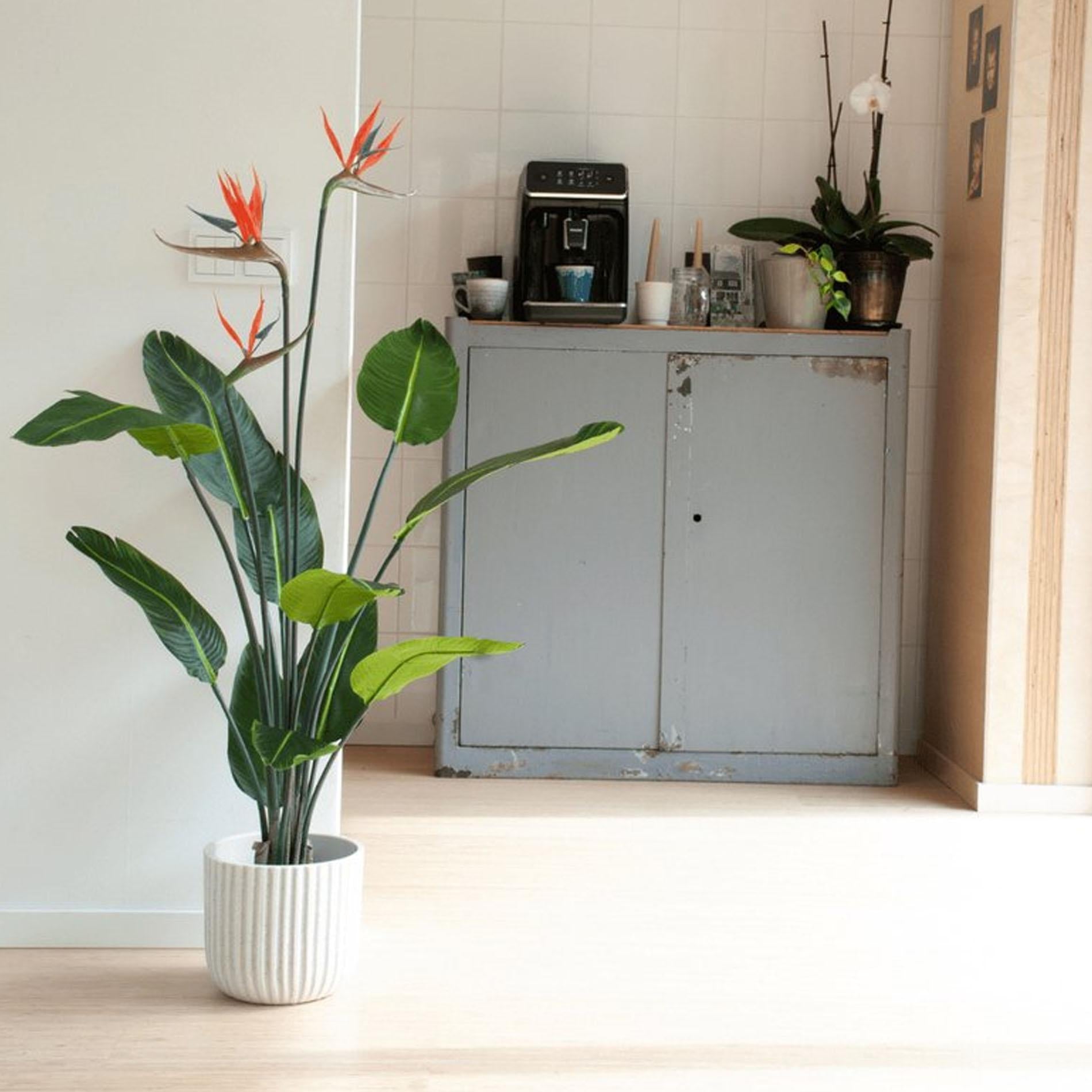 Kunstpflanze - Strelitzia Blumen- 120cm - im schwarzen Topf