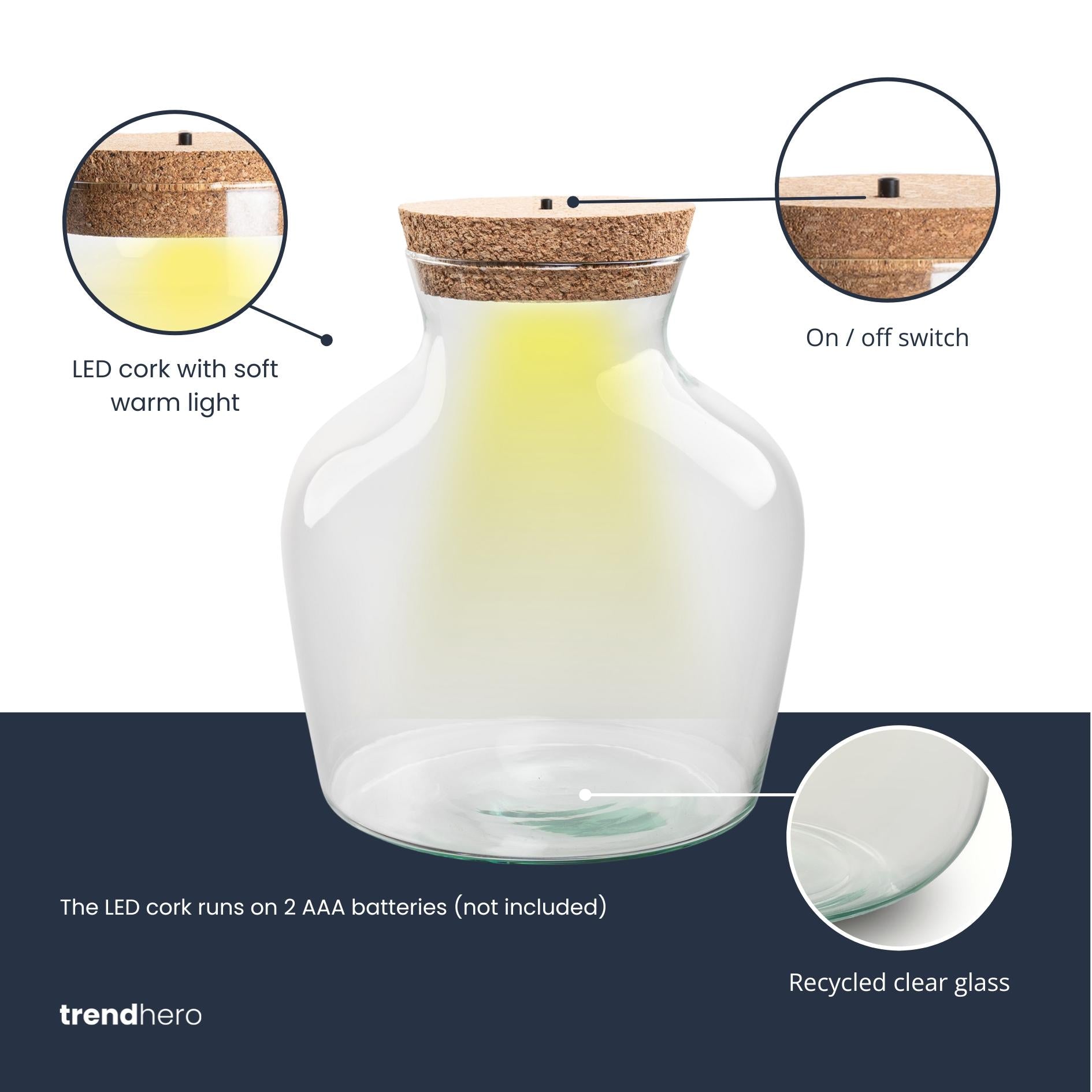 Terrariumflasche - Flaschengarten Little Joe & LED-Beleuchtung – Geschlossenes Terrarium – Little Joe – ↑ 22 cm – Ø 20 cm