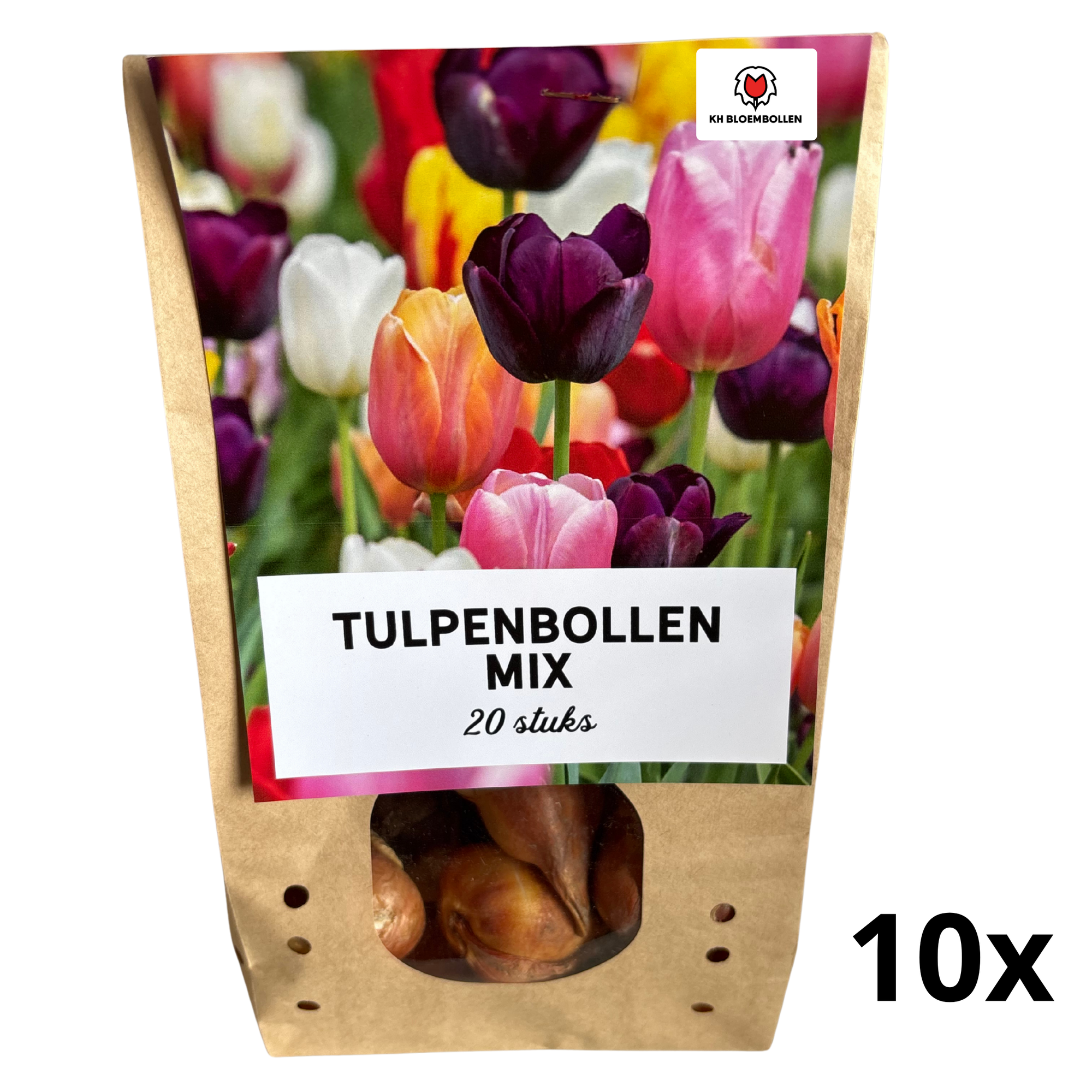 Tulpen Mix - 10 Beutel mit je 20 Stück pro Beutel - Bunter Tulpenmix – Perfekt für Garten oder Topf – Größe 11/12 – Frisch vom Züchter
