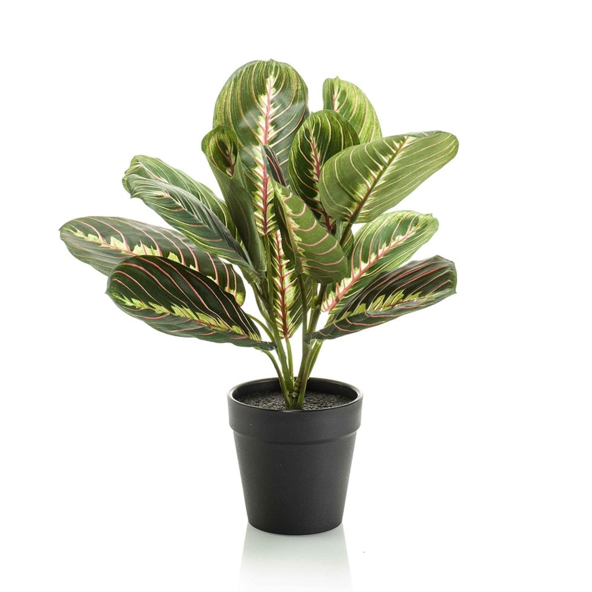 Kunstpflanze - Maranta grün- 30cm - im schwarzen Topf