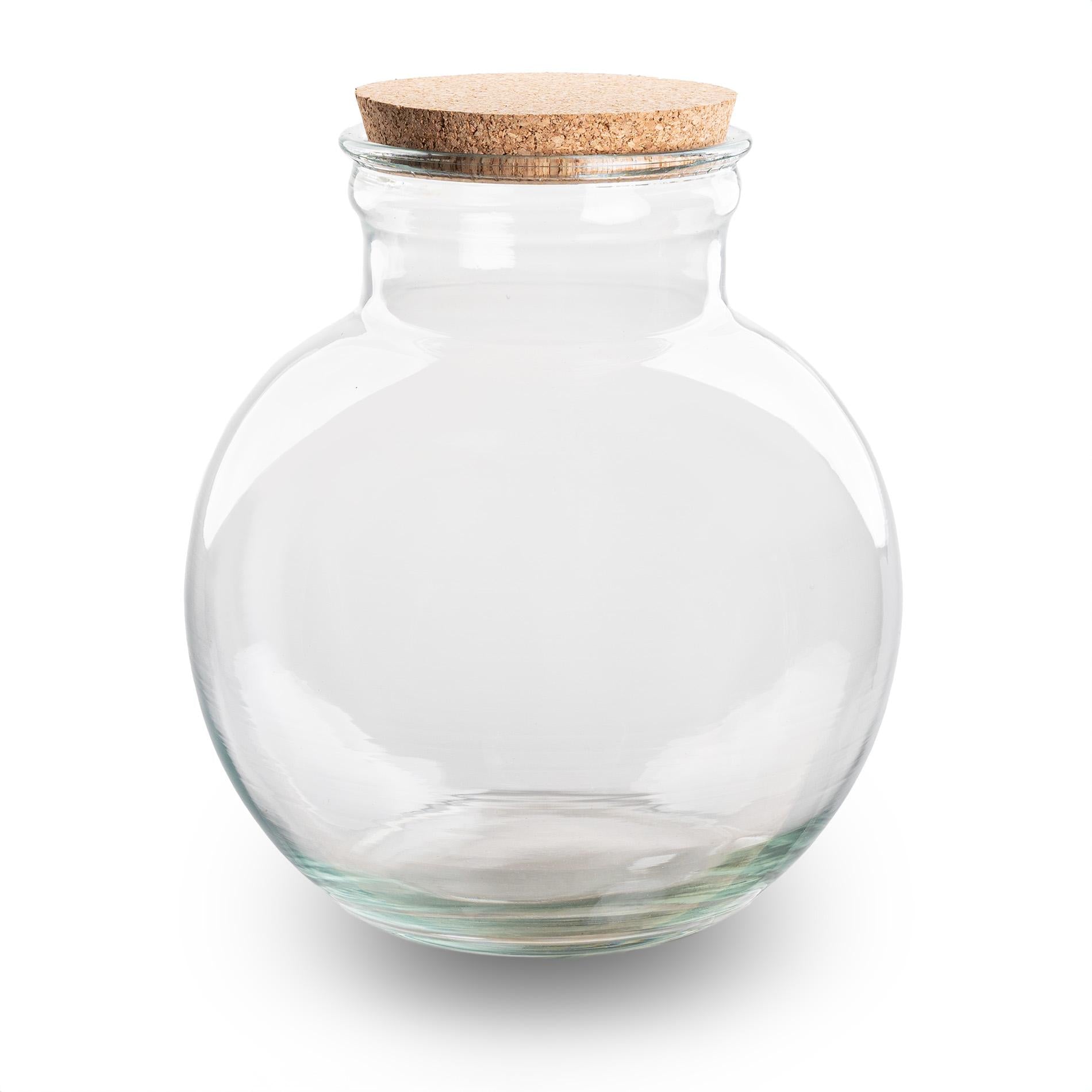 Terrariumflasche - Flaschengarten Teddy & LED im Korken - Ø 25 cm ↑ 26,5 cm -