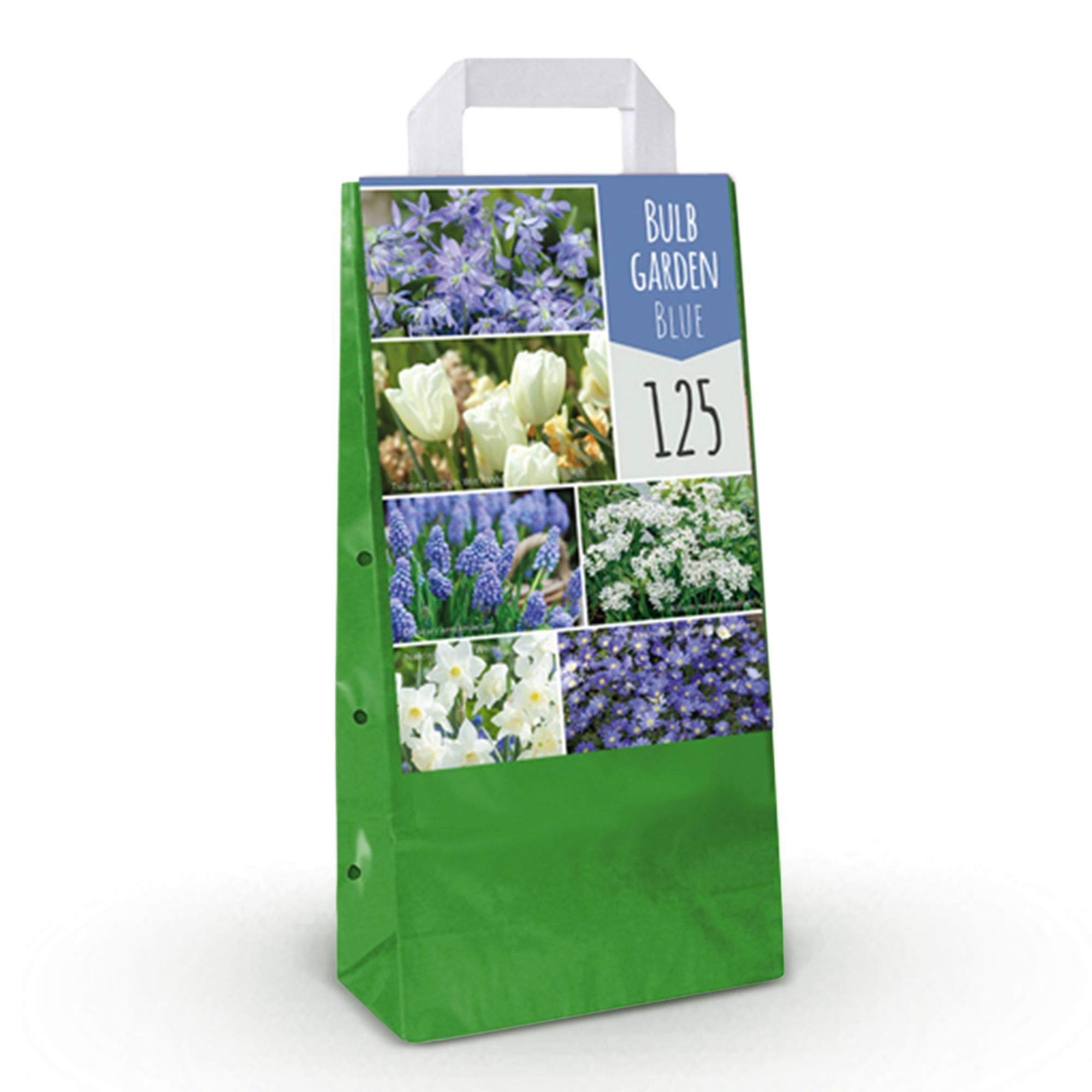 Frühlingsblumen Mix - Blumenzwiebel Mix - Verschiedene Sorten - Farbe Blau - 125 Stück - Geschenkverpackung