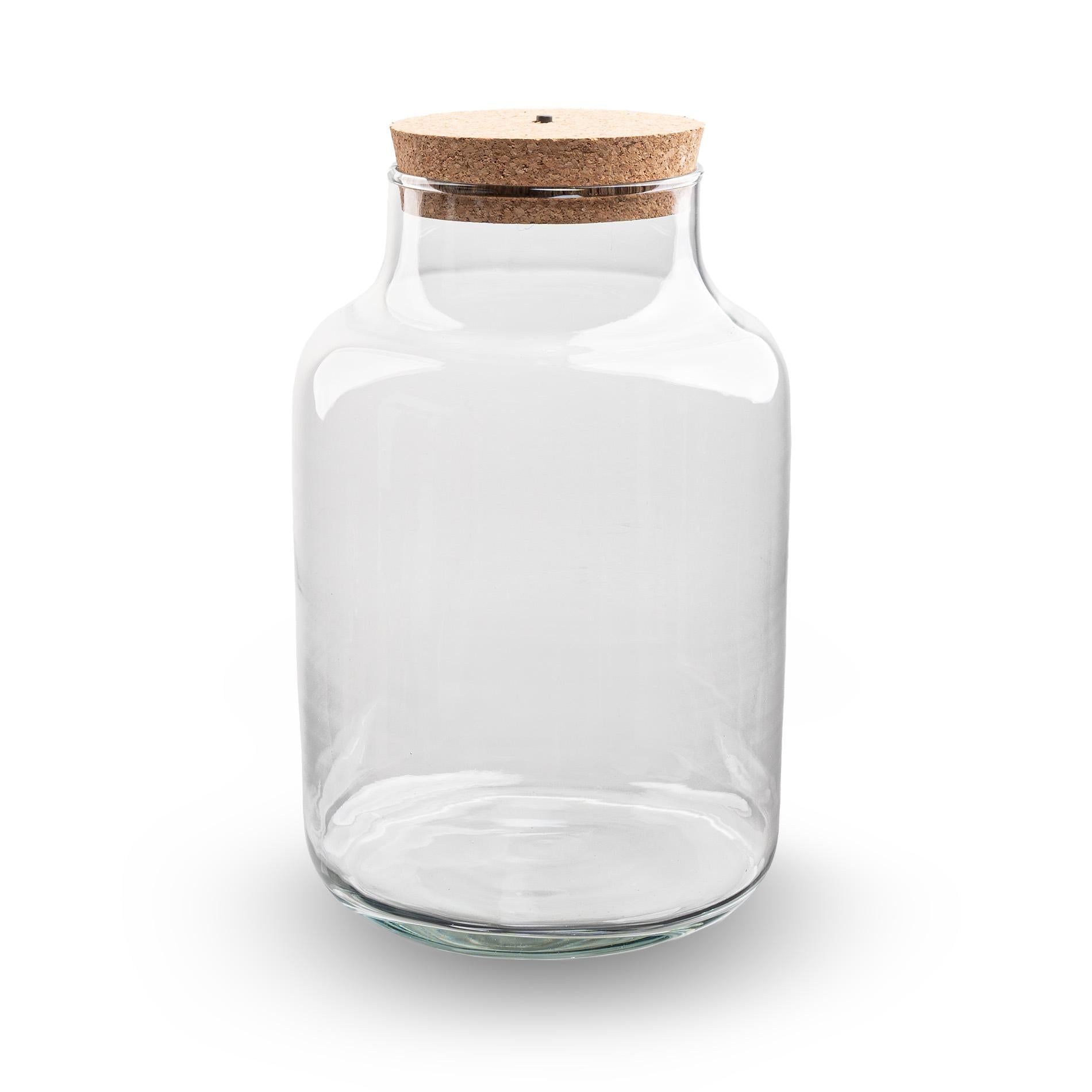Terrariumflasche - Flaschengarten Milky & LED im Korken - Ø 21 cm ↑ 30 cm