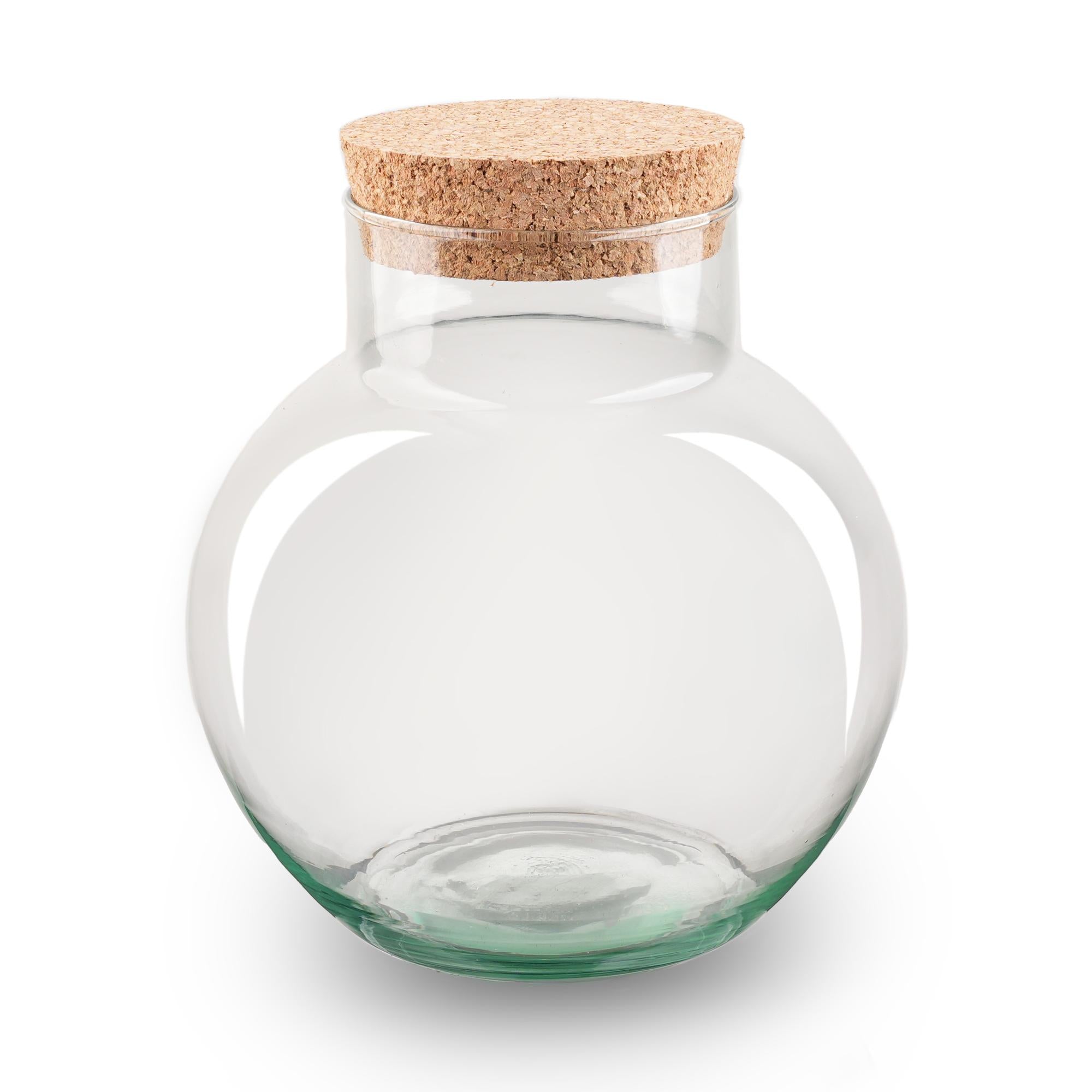 Terrariumflasche - Flaschengarten Noah mit Korken - ↑ 20 cm