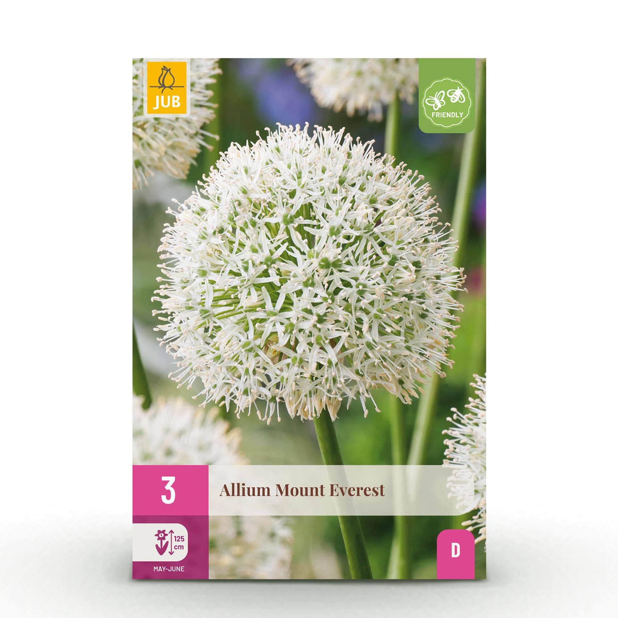 Zierlauch - Blumenzwiebeln - Allium Mount Everest - Farbe Weiß - 3 Stück - Zwiebelgröße 16/18 - XXL Pack