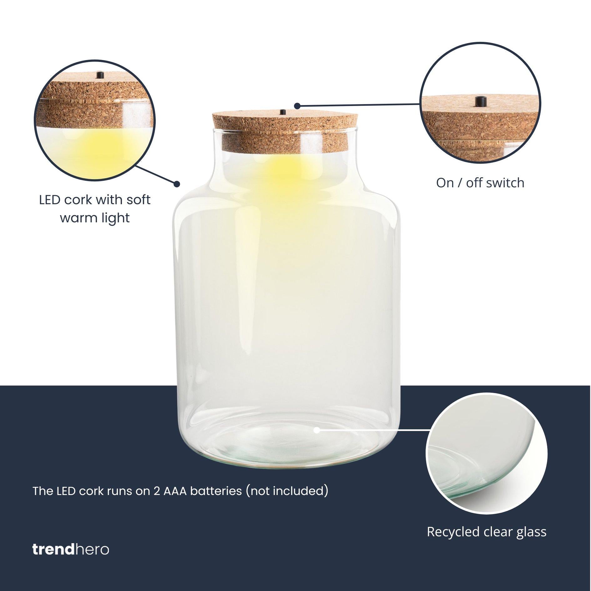 Terrariumflasche - Flaschengarten Kleines Milky & LED im Korken - geschlossenes Terrarium mit Licht ↑ 24,5 cm – Flaschengarten