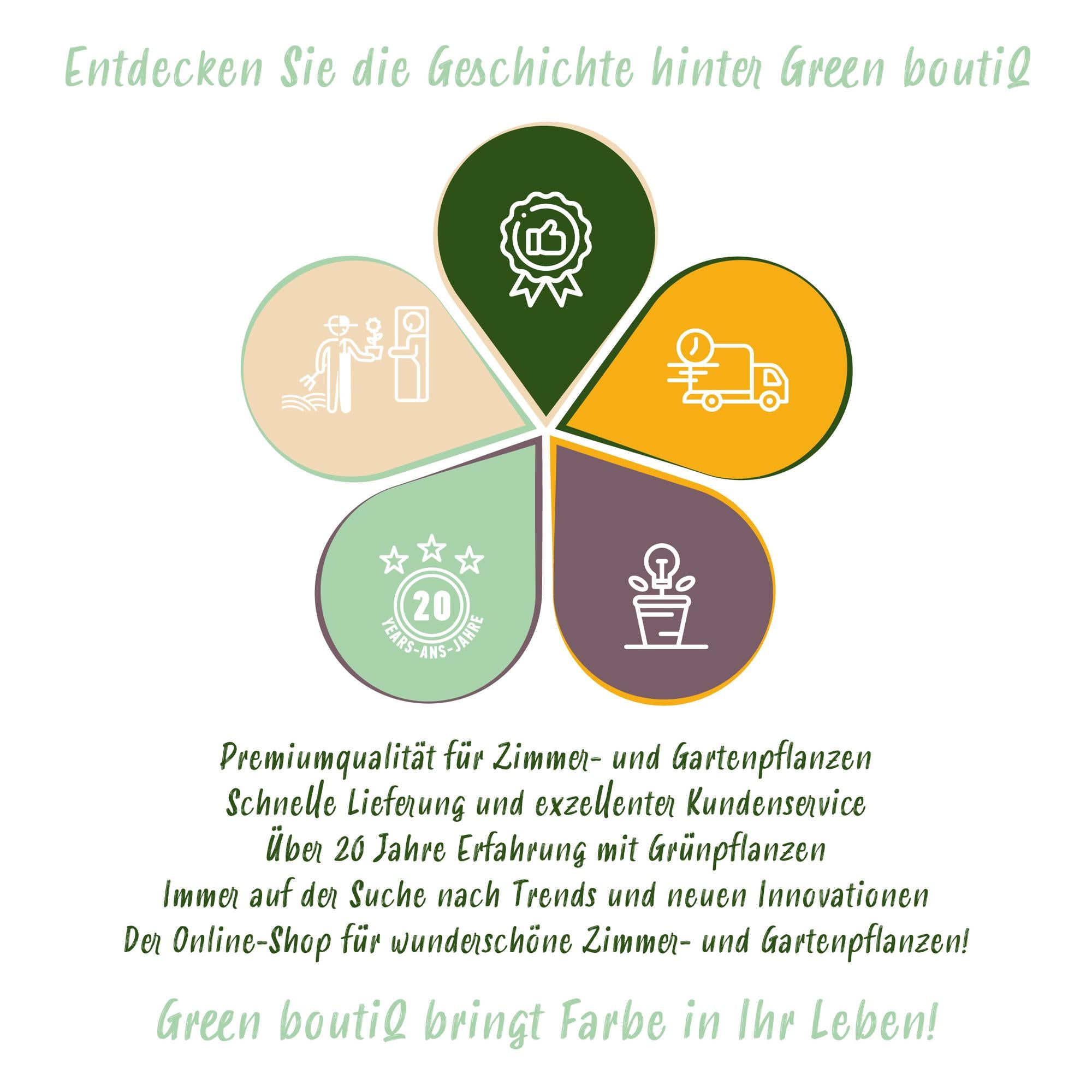 Narzissen - Narcis Carlton - Farbe Gelb - 15 Stück - Knollengröße 12/14 - XXL Pack