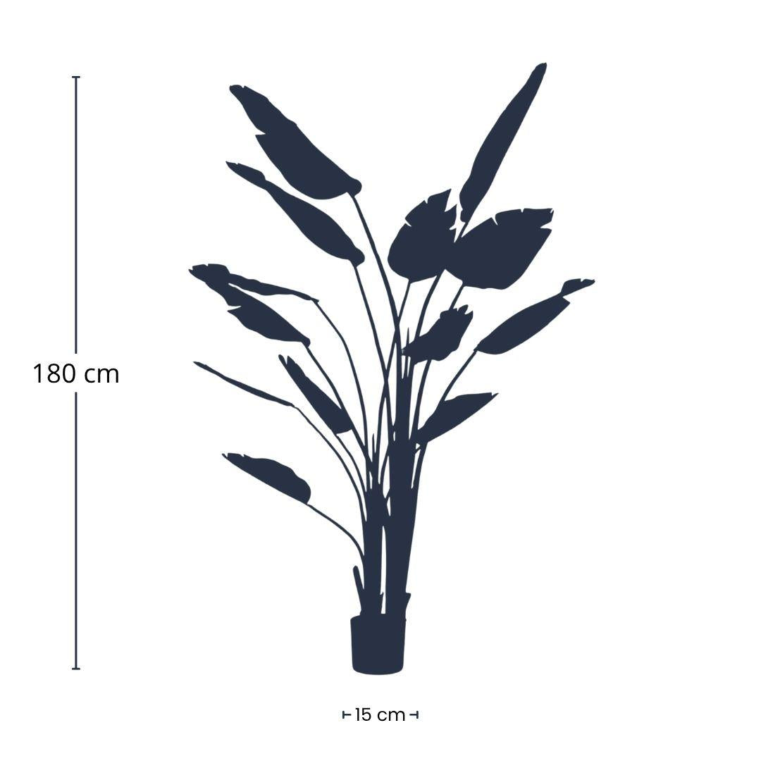 Kunstpflanze - Strelitzia nicolai - 180 cm - im schwarzen Topf