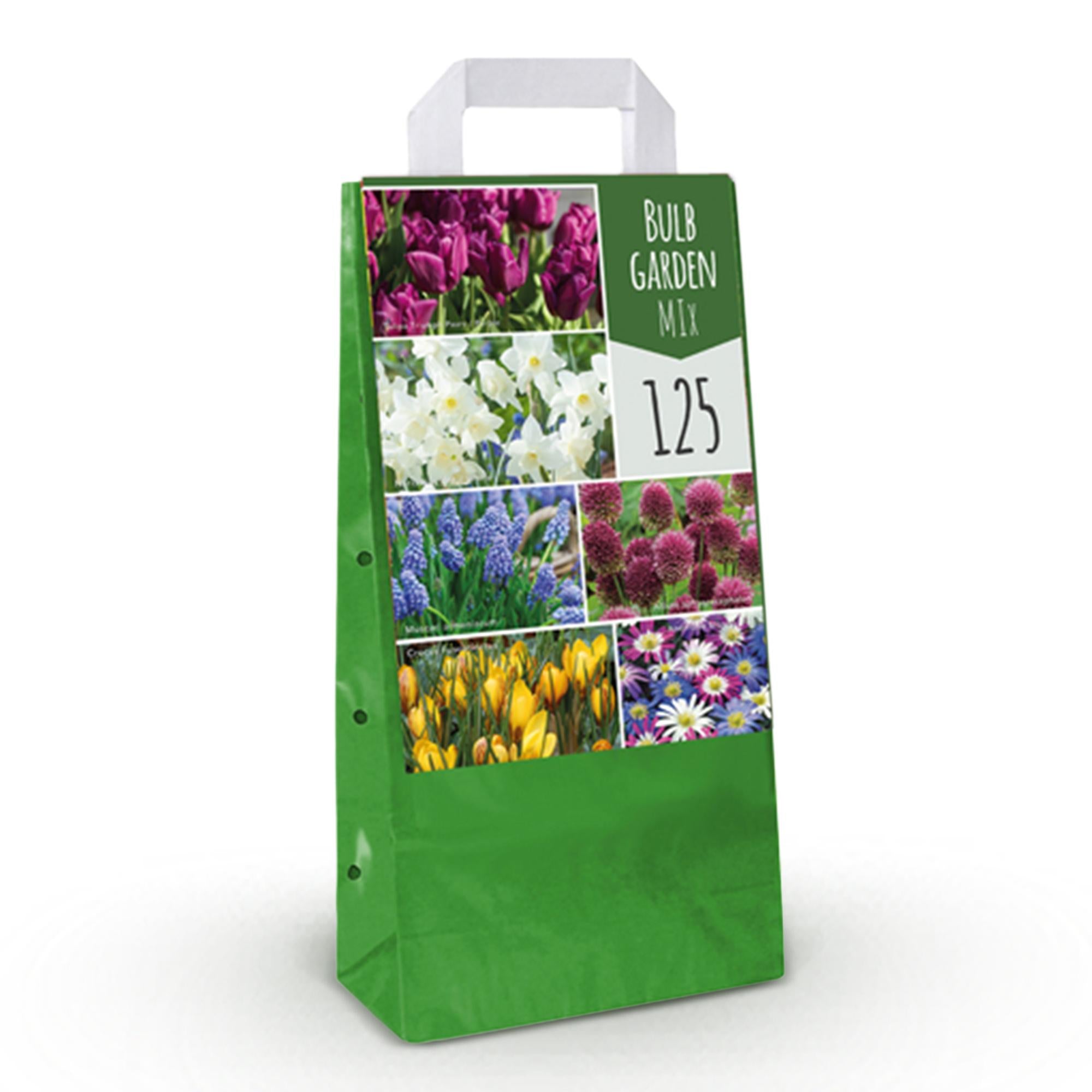 Frühlingsblumen Mix - Blumenzwiebel Mix - Verschiedene Sorten und Farben - 125 Stück - Geschenkverpackung