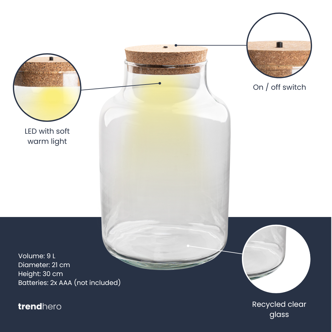 Terrariumflasche - Flaschengarten Milky & LED im Korken - Ø 21 cm ↑ 30 cm