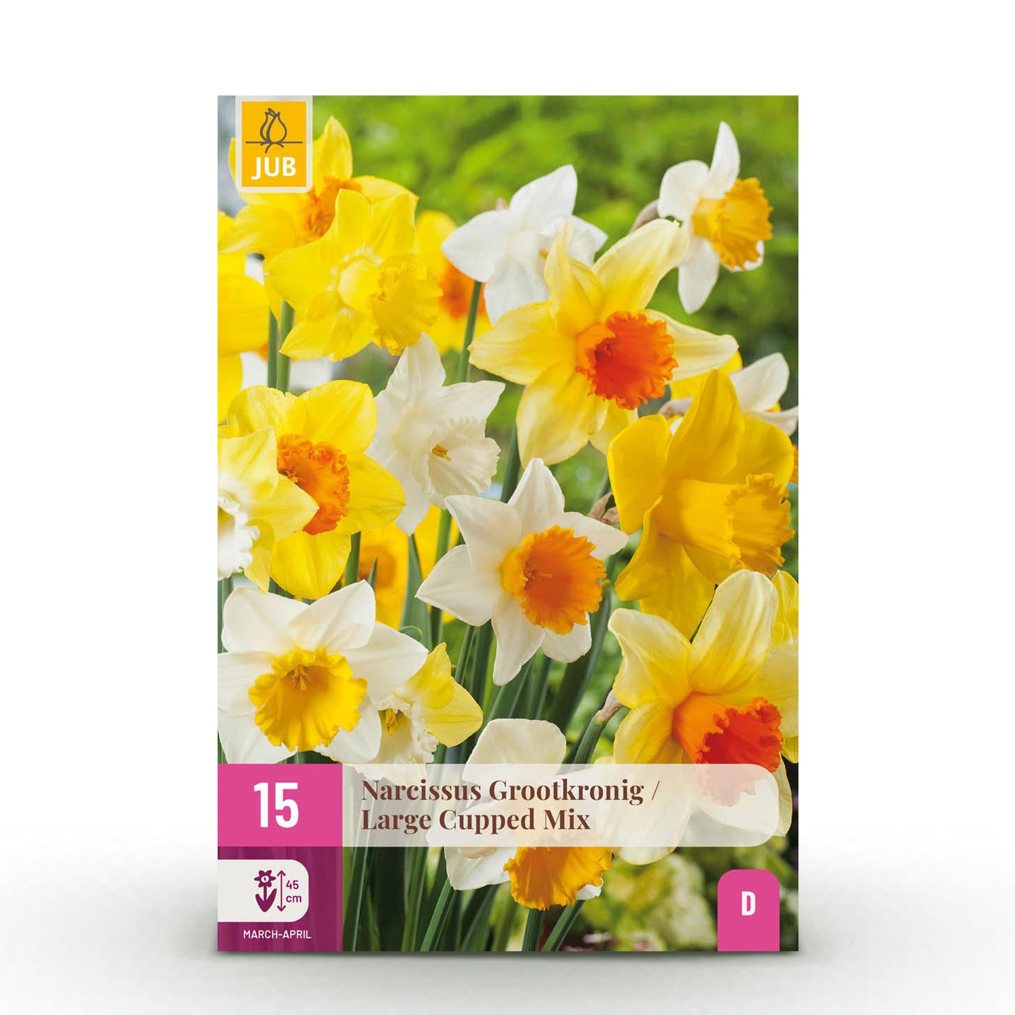 Narzissen Mix - Narzisse Large Cupped mix - Farbe Gelb und Weiß - 15 Stück - Zwiebelgröße 12/14 - XXL Pack