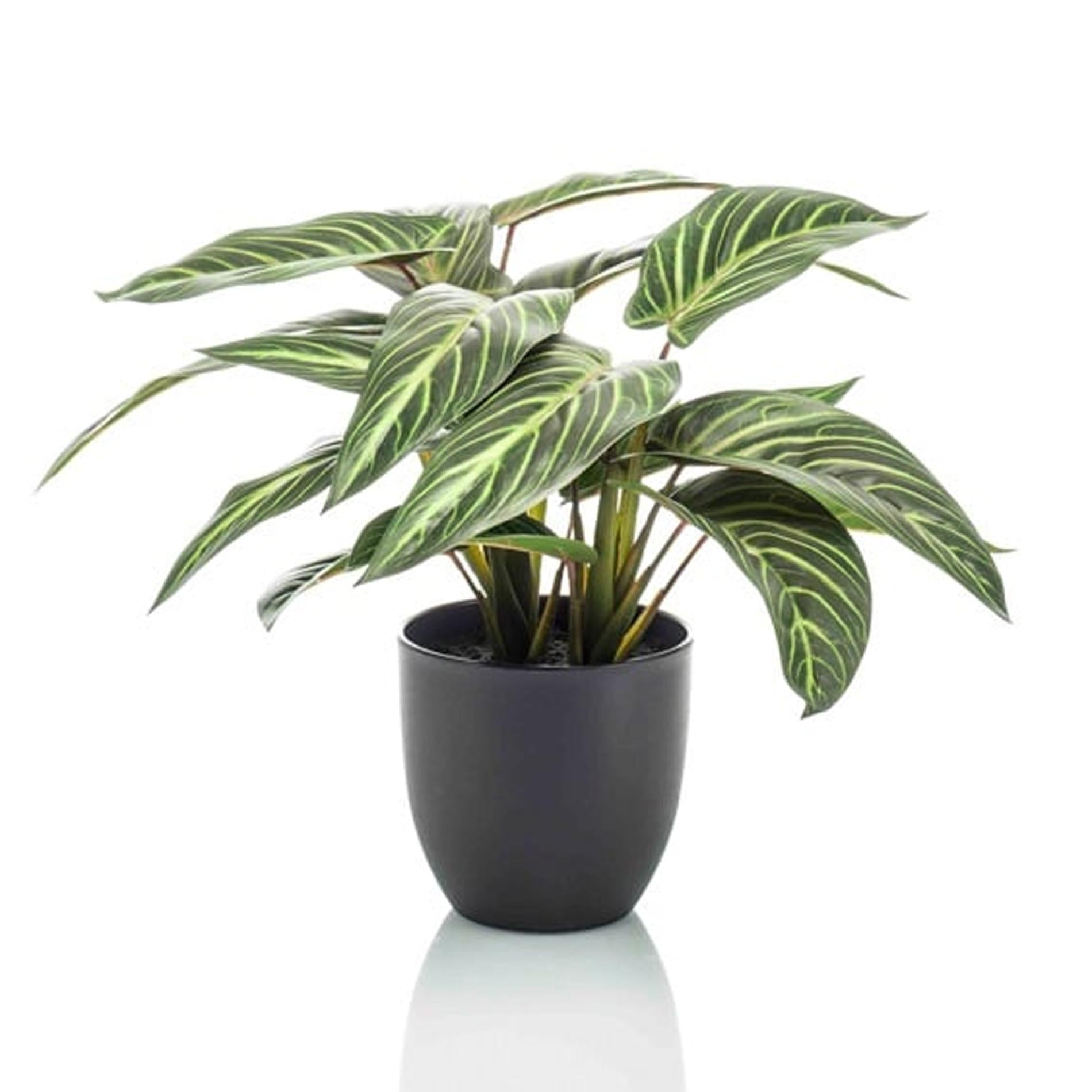 Kunstpflanze - Calathea Zebrina im schwarzen Topf - 42 cm Höhe