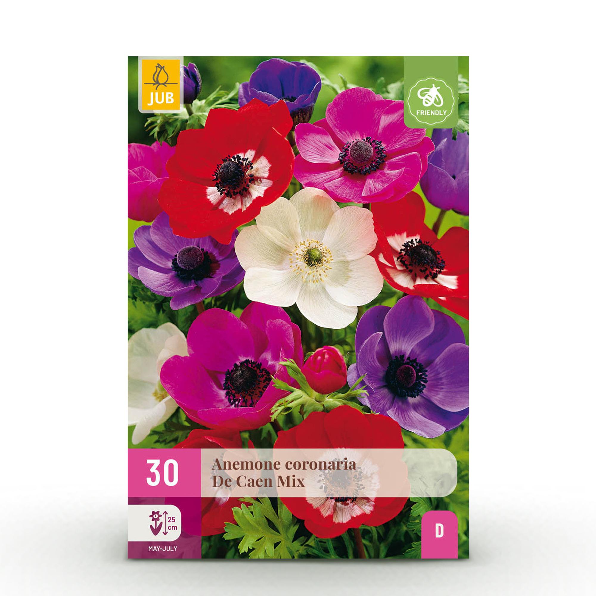 Windröschen Mix - Anemone de Caen Mix - Verschiedene Farben - 30 Stück - Zwiebelgröße 5/6 - XXL Pack