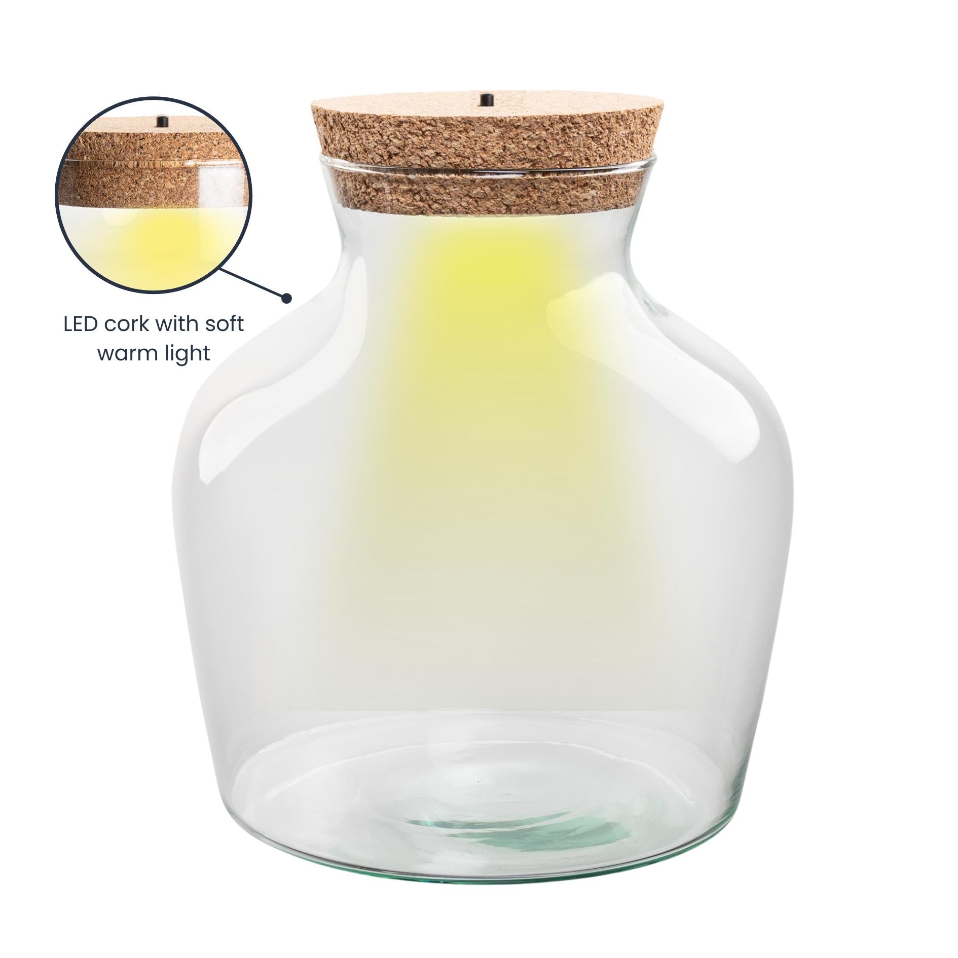 Terrariumflasche - Flaschengarten Little Joe & LED-Beleuchtung – Geschlossenes Terrarium – Little Joe – ↑ 22 cm – Ø 20 cm