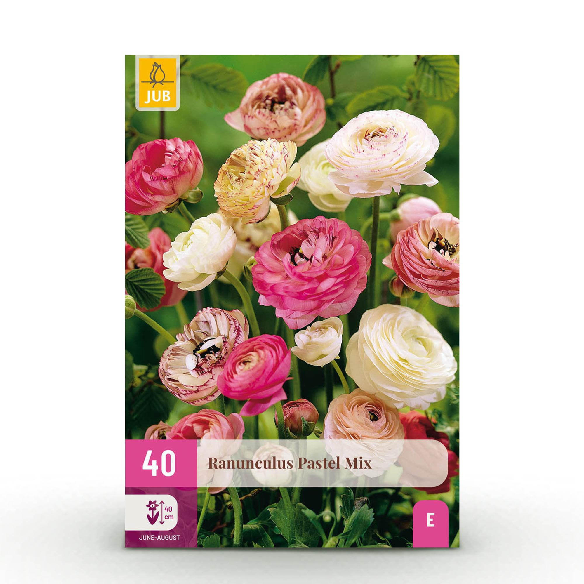 Ranunkelblumen Mix - Ranunculus Pastel Mix - Verschiedene Farben - 40 Stück - Zwiebelgröße 5/6 - XXL Pack