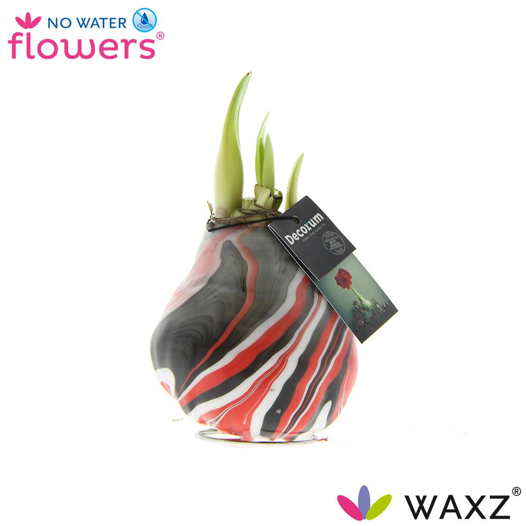 No Water Flowers Waxz® Artooz Earth Red(Decorum) - ↕15cm