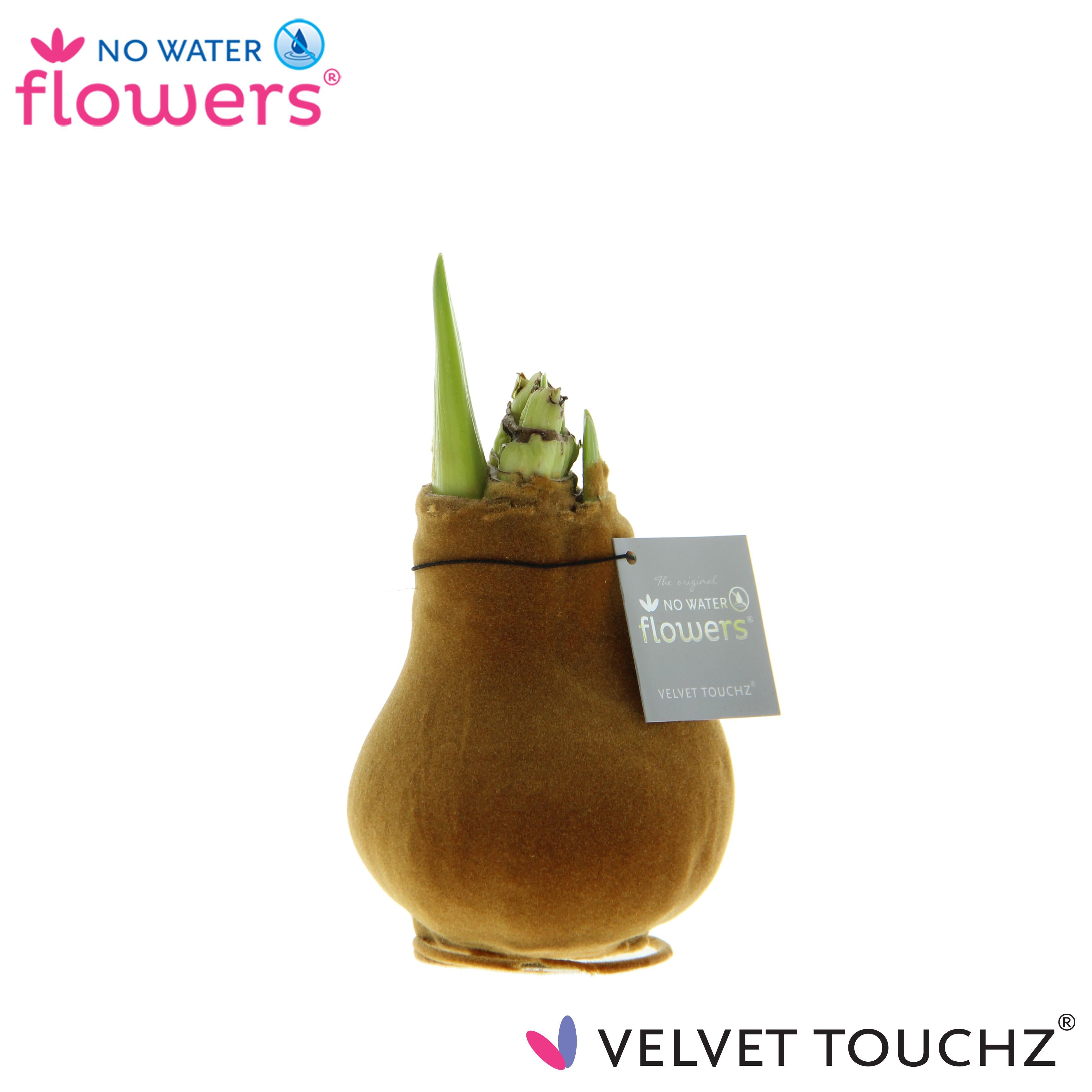 No Water Flowers Velvet Touchz® Copper - ↕15cm