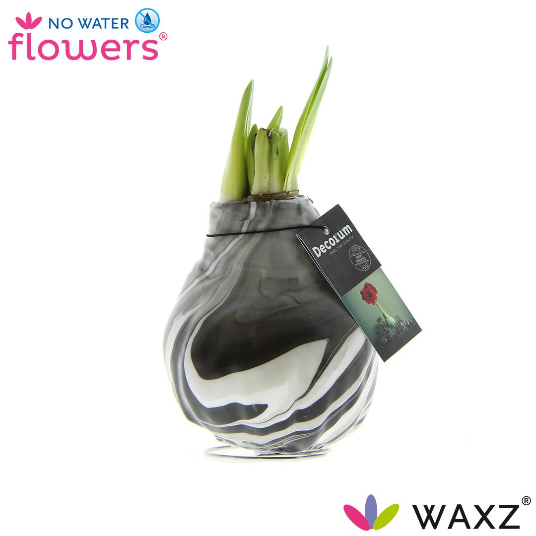 No Water Flowers Waxz® Artooz Earth Black(Decorum) - ↕15cm