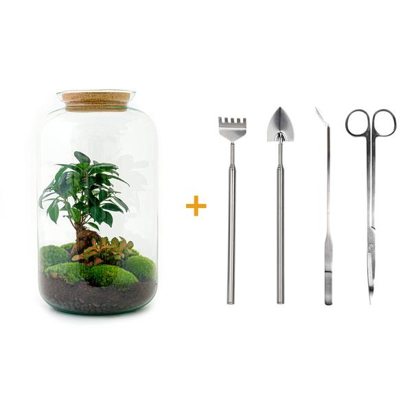 Flaschengarten - Sven Bonsai - ↕ 43 cm - Rake + Shovel + Tweezer + Scissors