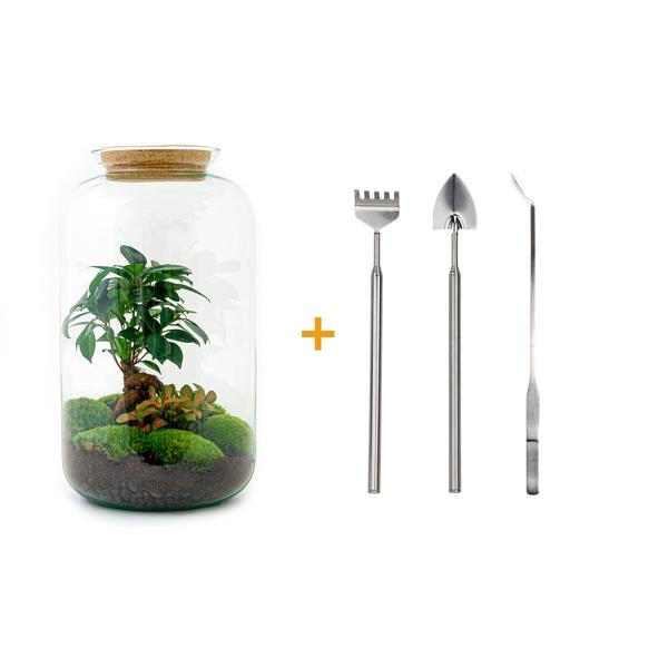 Flaschengarten - Sven Bonsai - ↕ 43 cm - Rake + Shovel + Tweezer