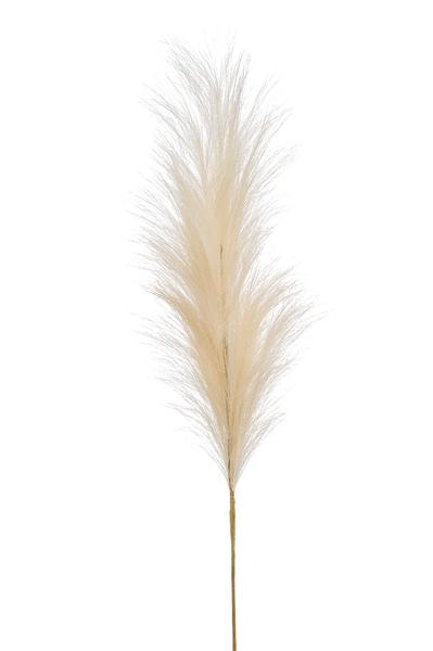 Kunstblumen - Kunstbloemen Solo - Crème - Pampas Plumes - x 6 - 115cm   6 Stück