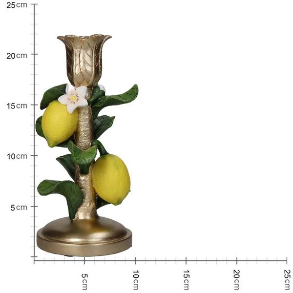 Kerzenständer - Zitronenpflanze - ↑ 22 cm