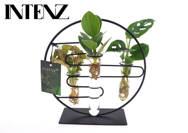 Pflanzen Mix im Metallgestell - Kamerplanten Intenz Mix In Dubai 2.0 Glas - Ø12cm - ↕25cm