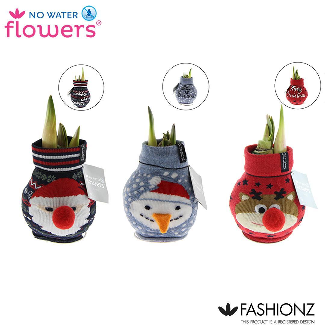 No Water Flowers Fashionz Xmas - 3 Stück - Ø7 cm - ↕15 cm