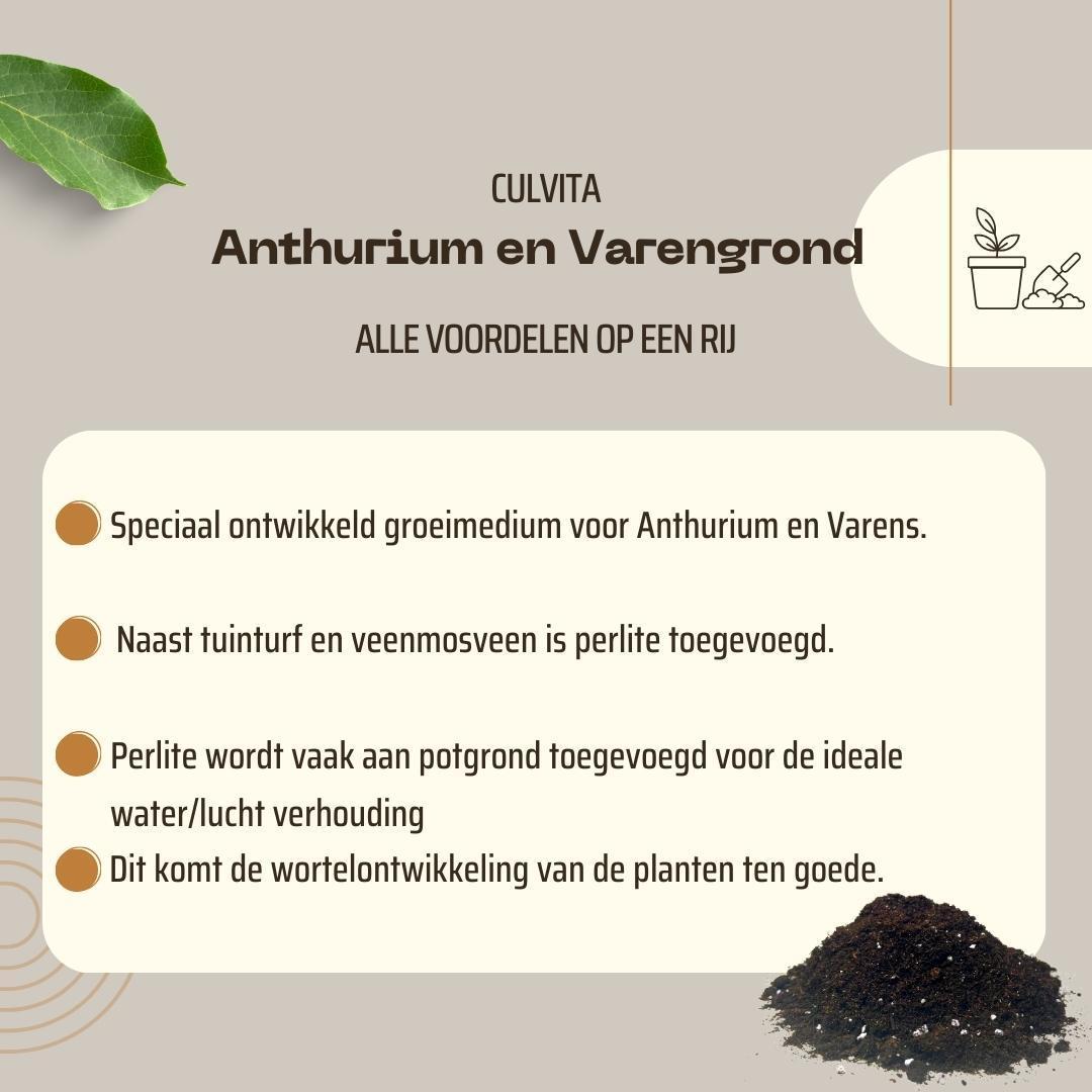 Blumenerde für Anthurium und Farne