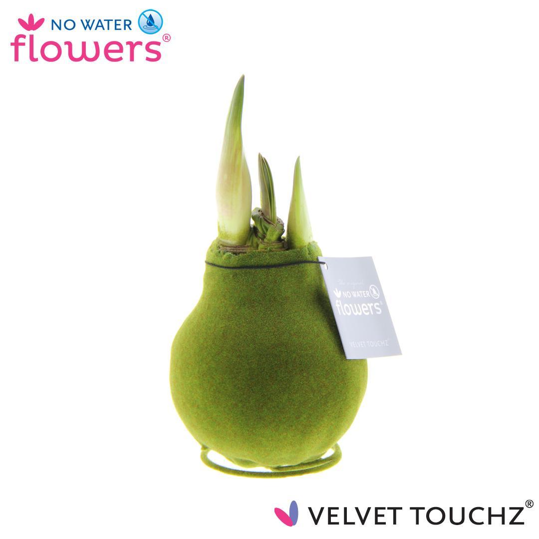 No Water Flowers Velvet Touchz® Moss Green - ↕15cm