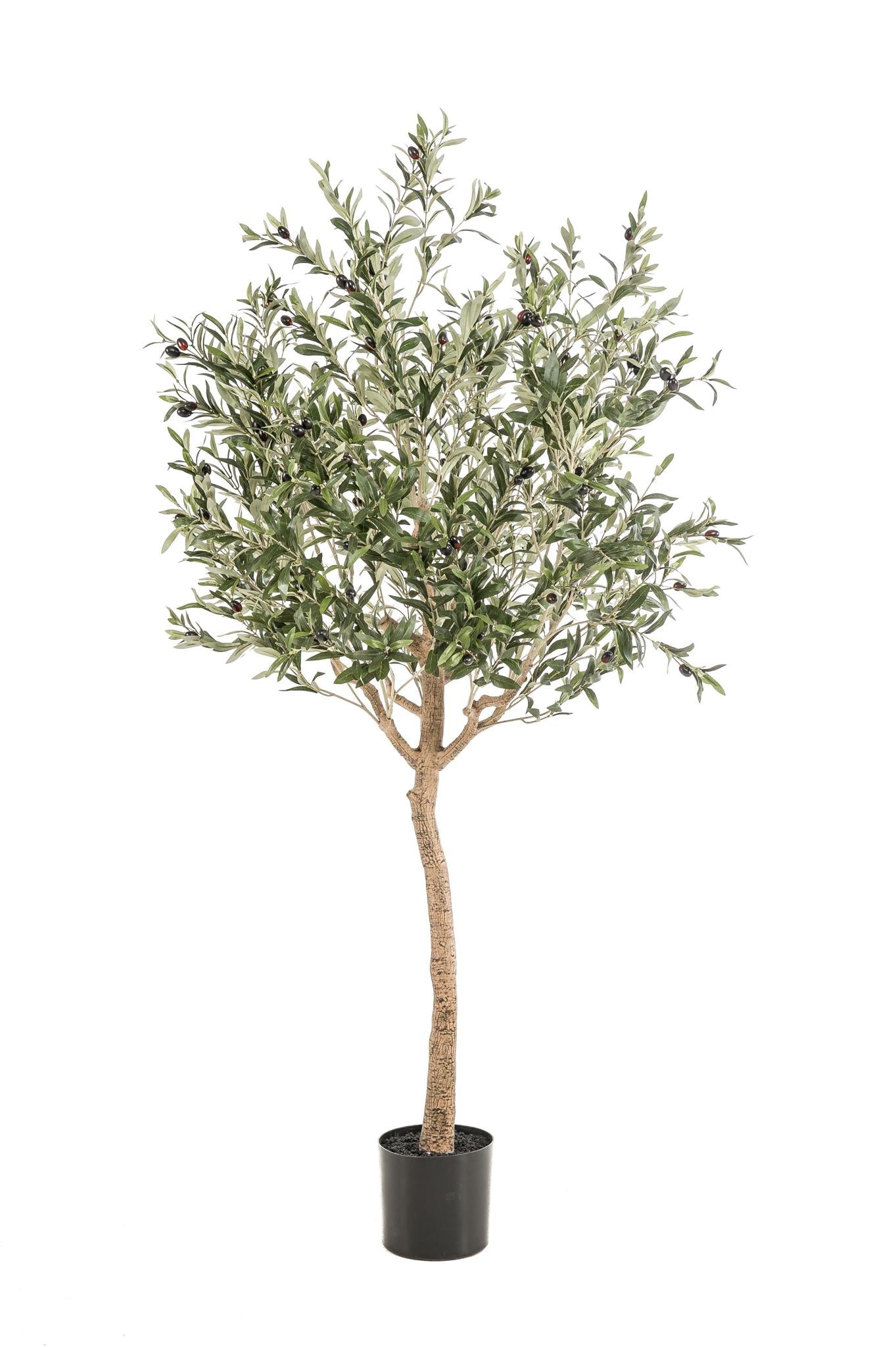 Kunstpflanze - Olea europaea - Olivenbaum - 180 cm